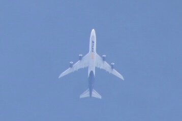 Spotting