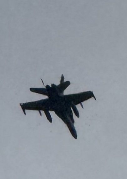 Spotting