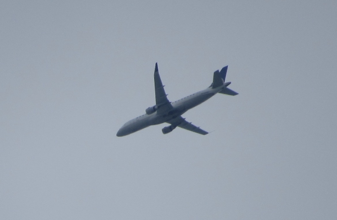 Spotting
