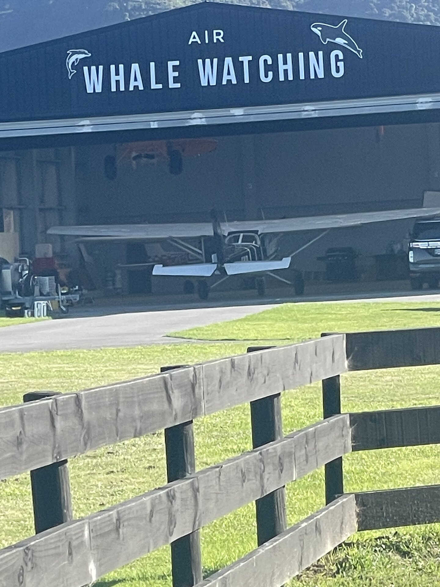 Spotting
