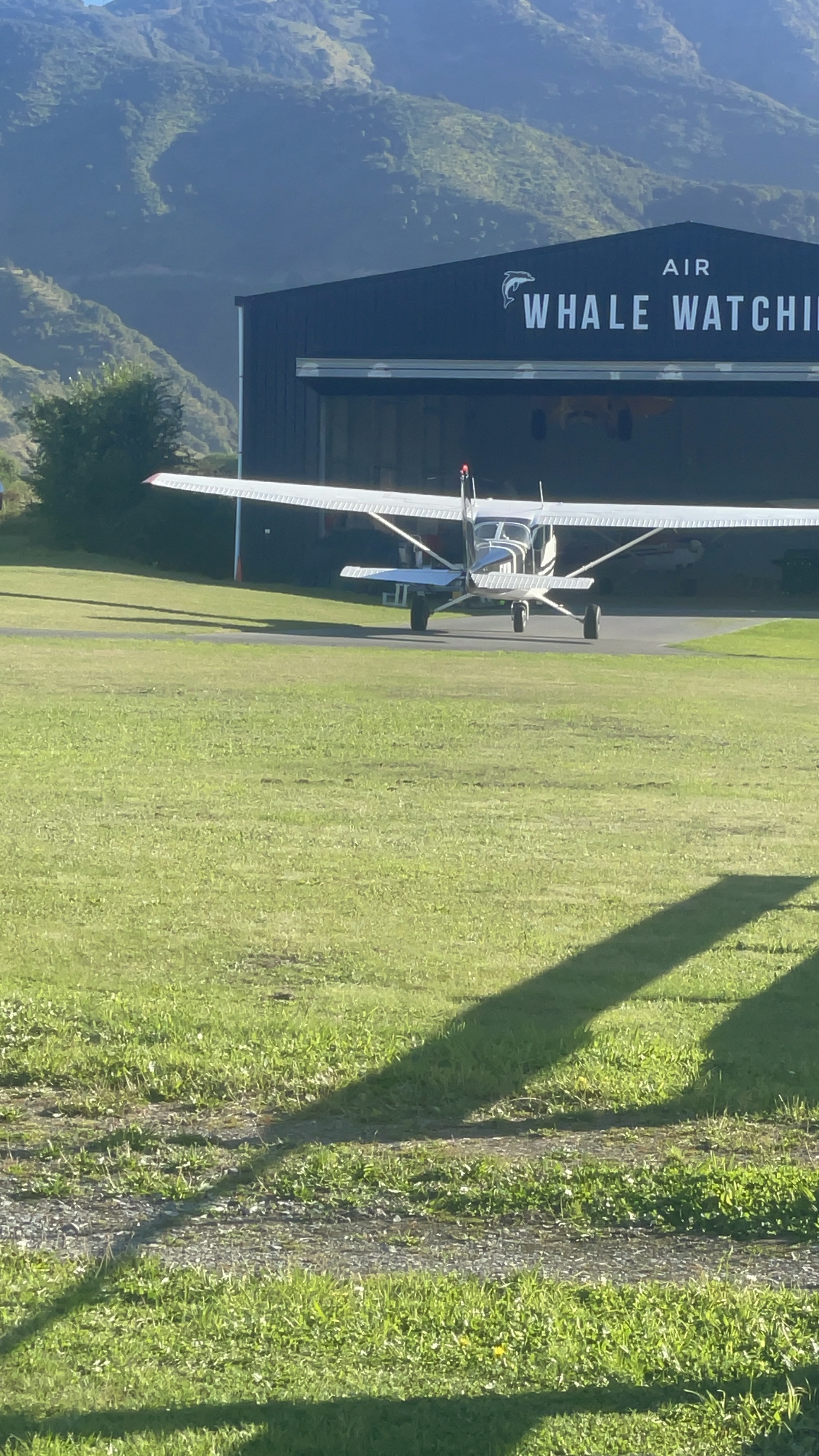 Aircraft