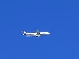 Spotting