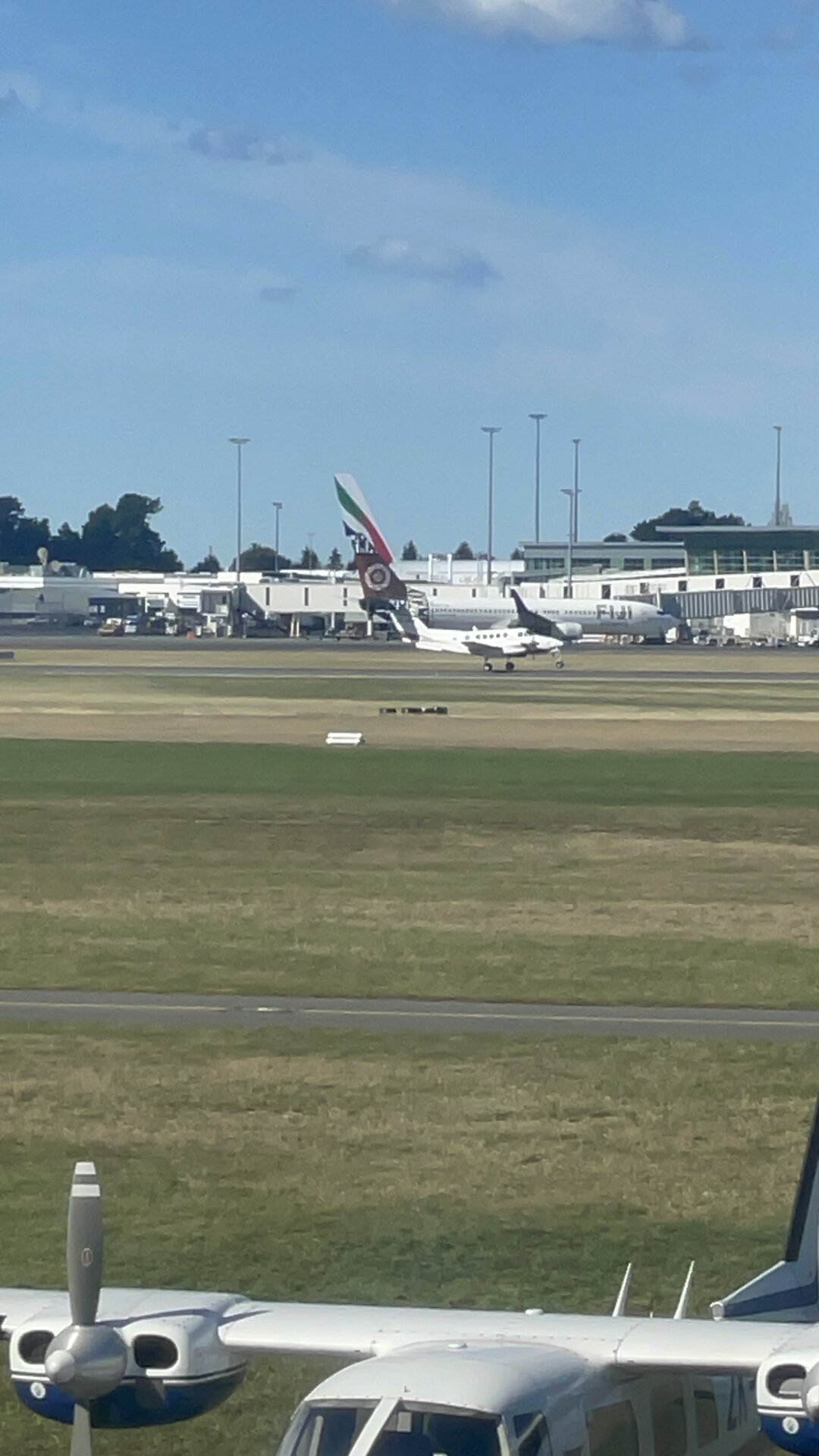 Spotting