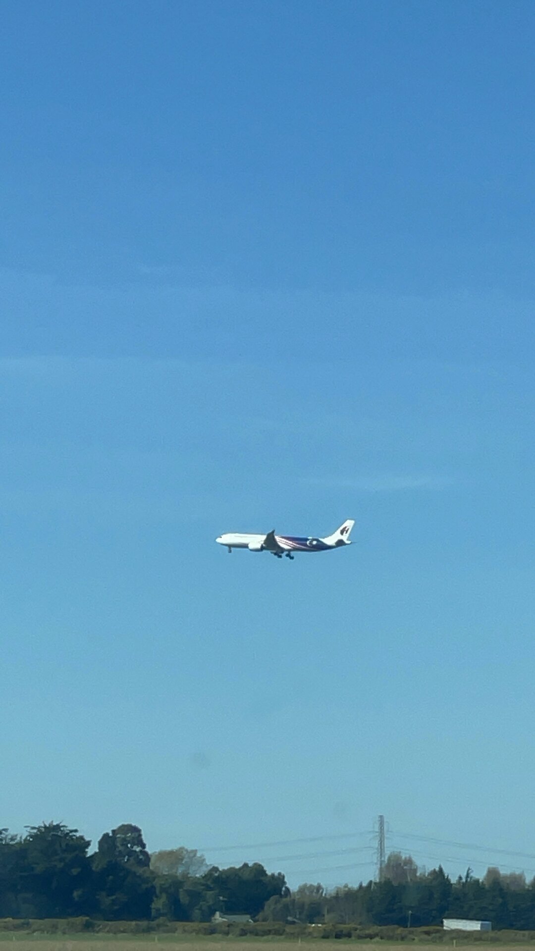 Spotting
