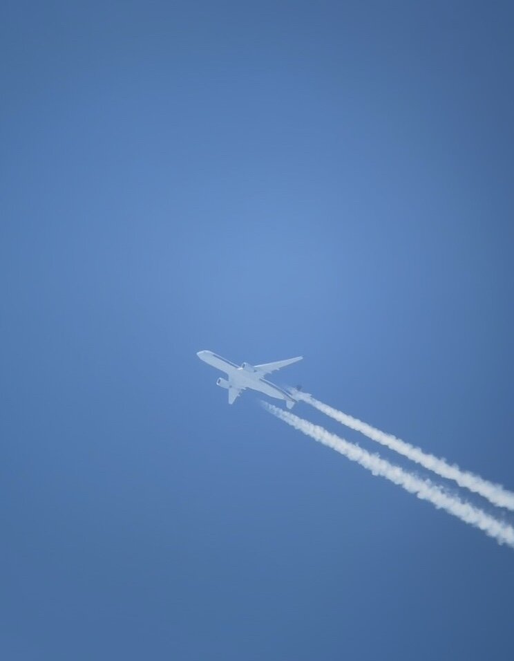 Spotting