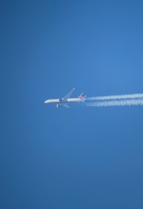 Spotting