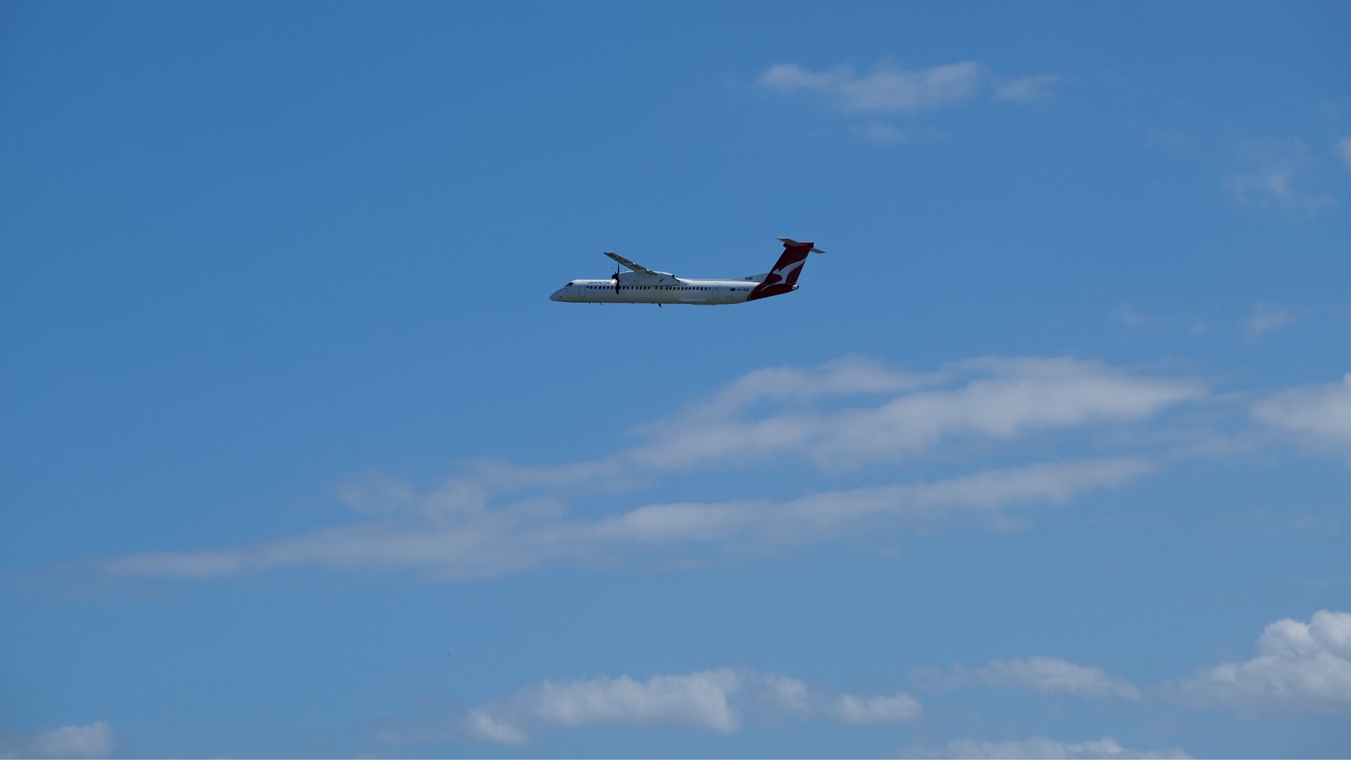 Spotting