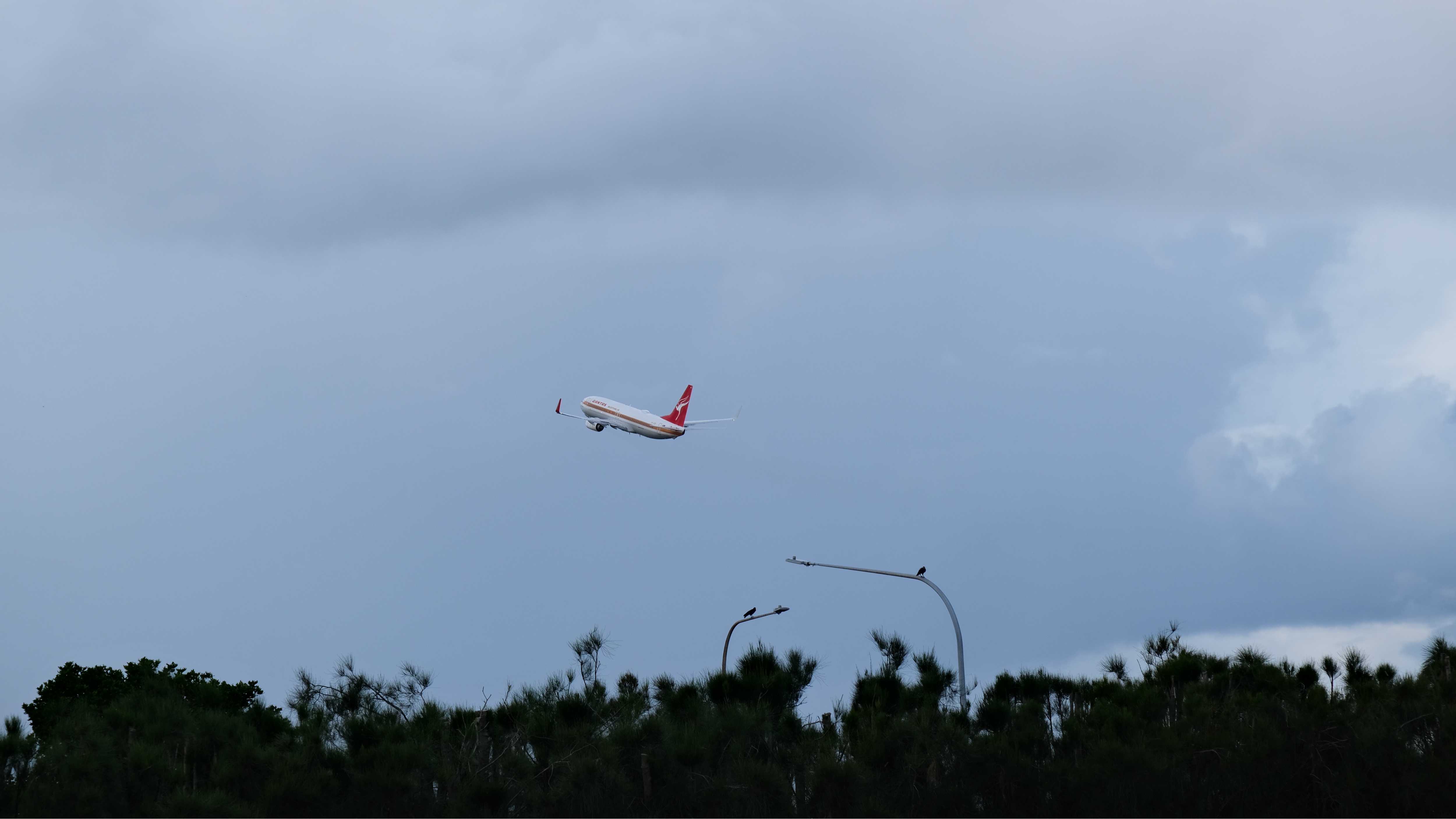 Aircraft