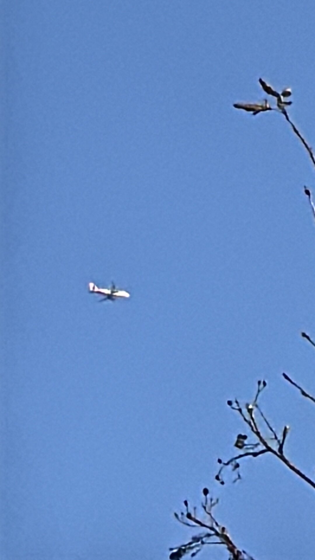 Spotting