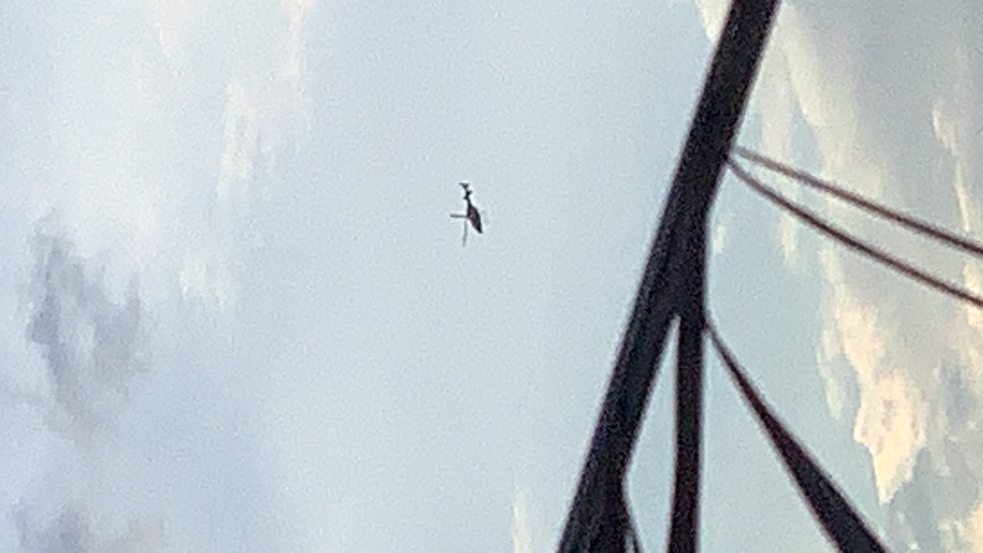 Spotting