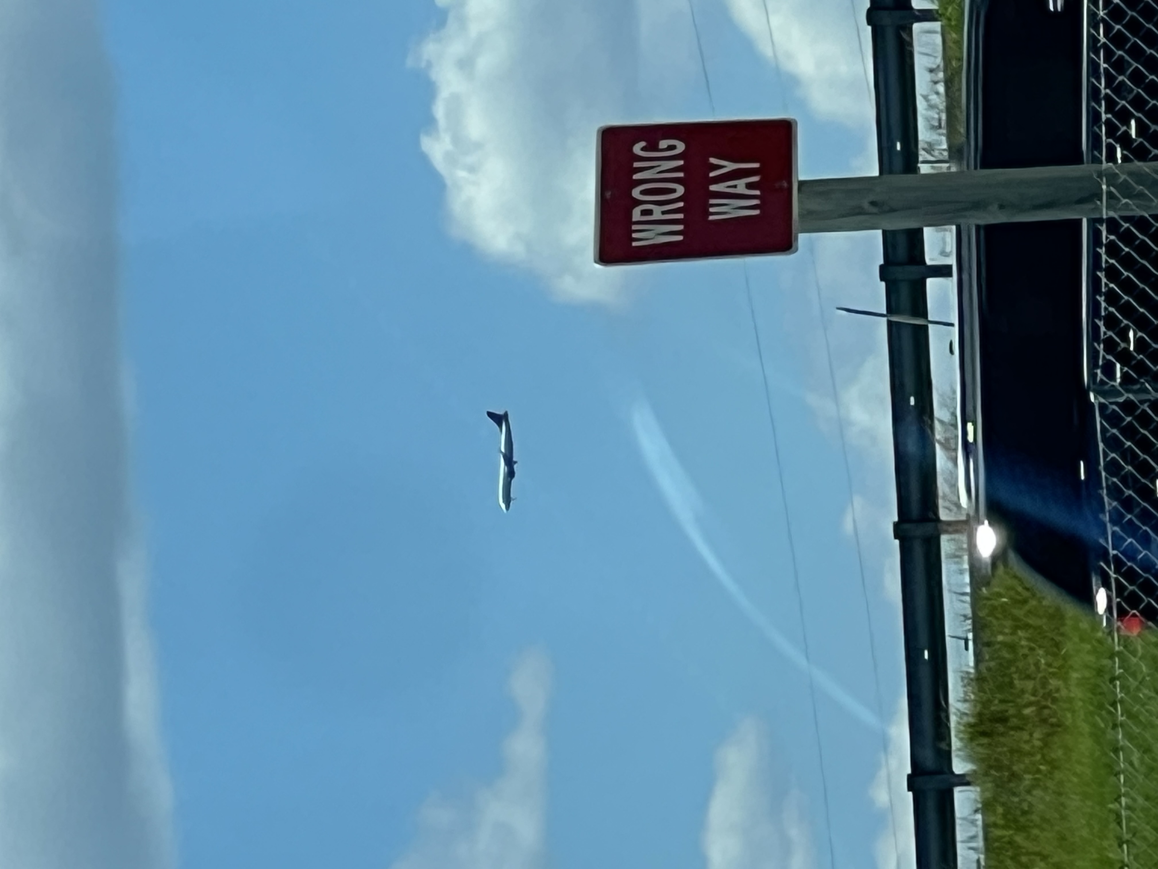 Spotting