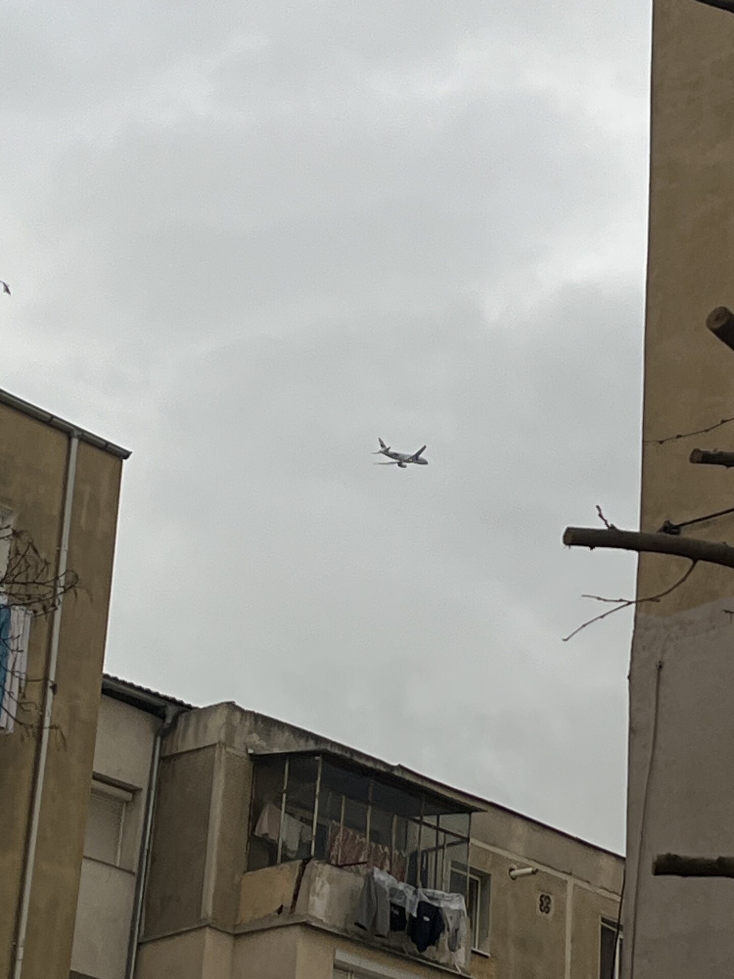 Spotting