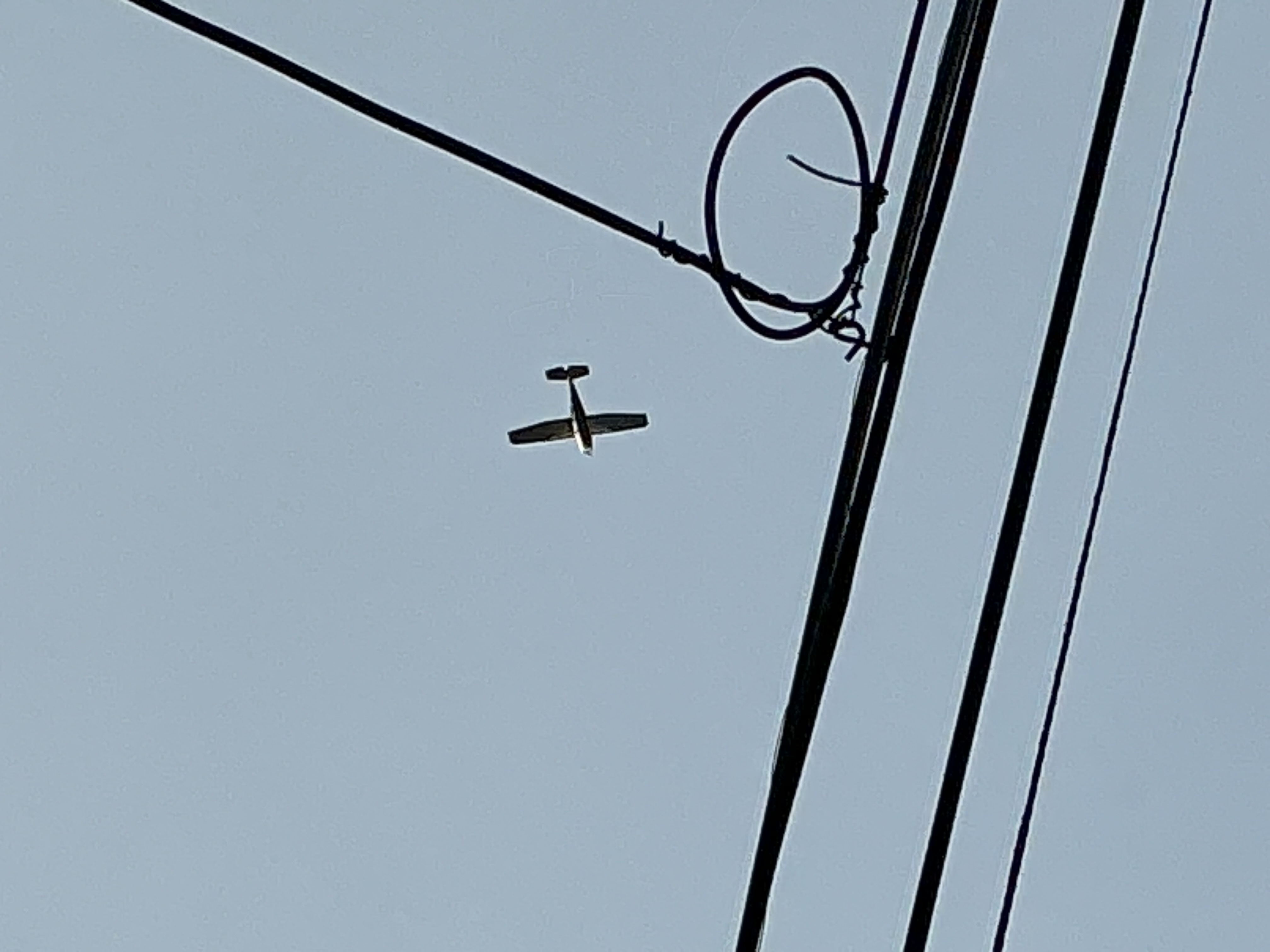 Spotting