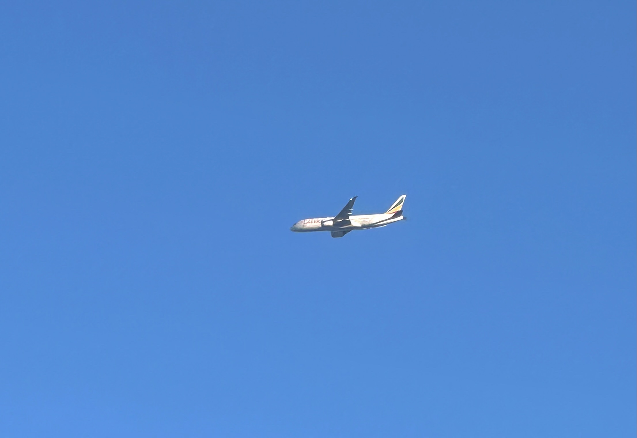 Spotting