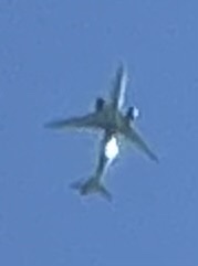 Spotting