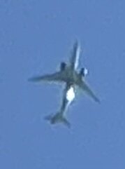 Spotting