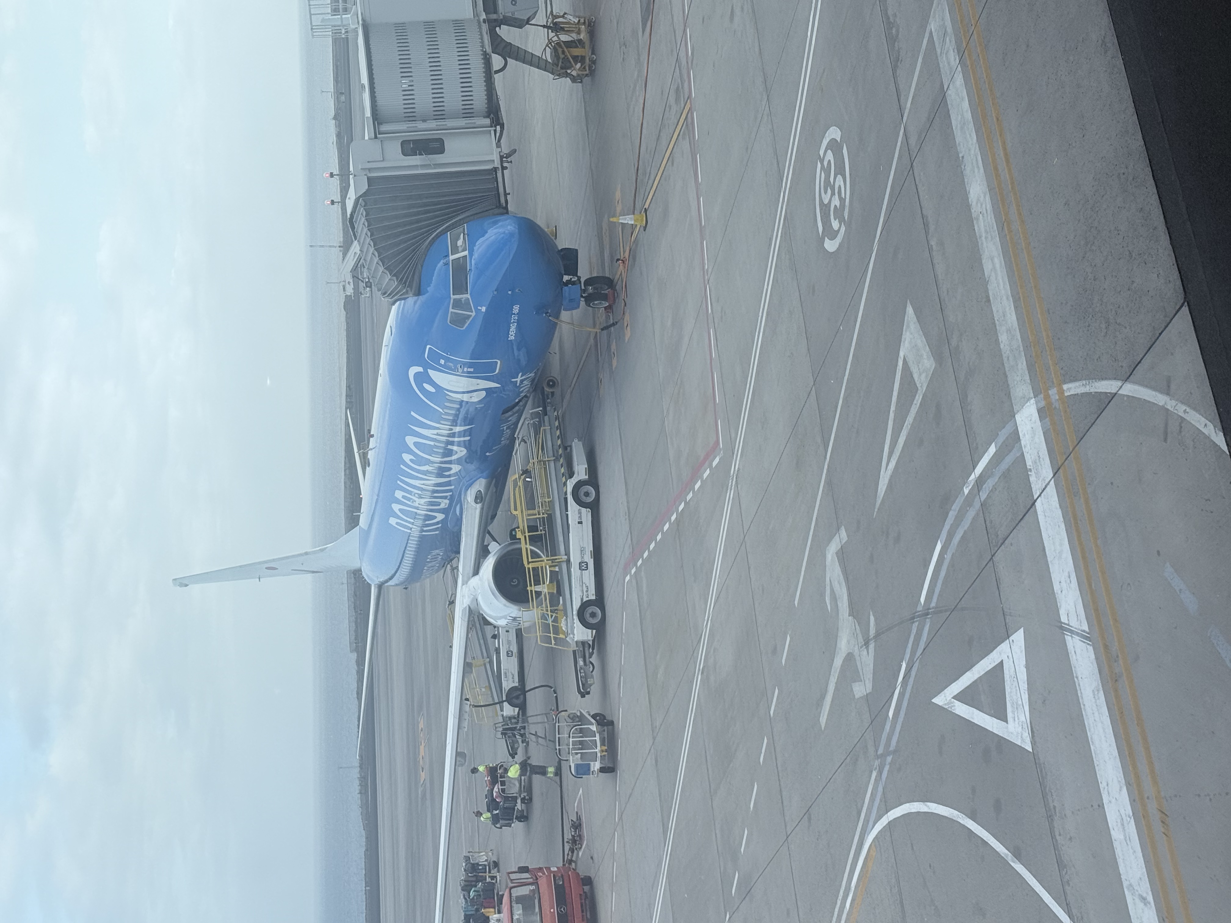 Spotting
