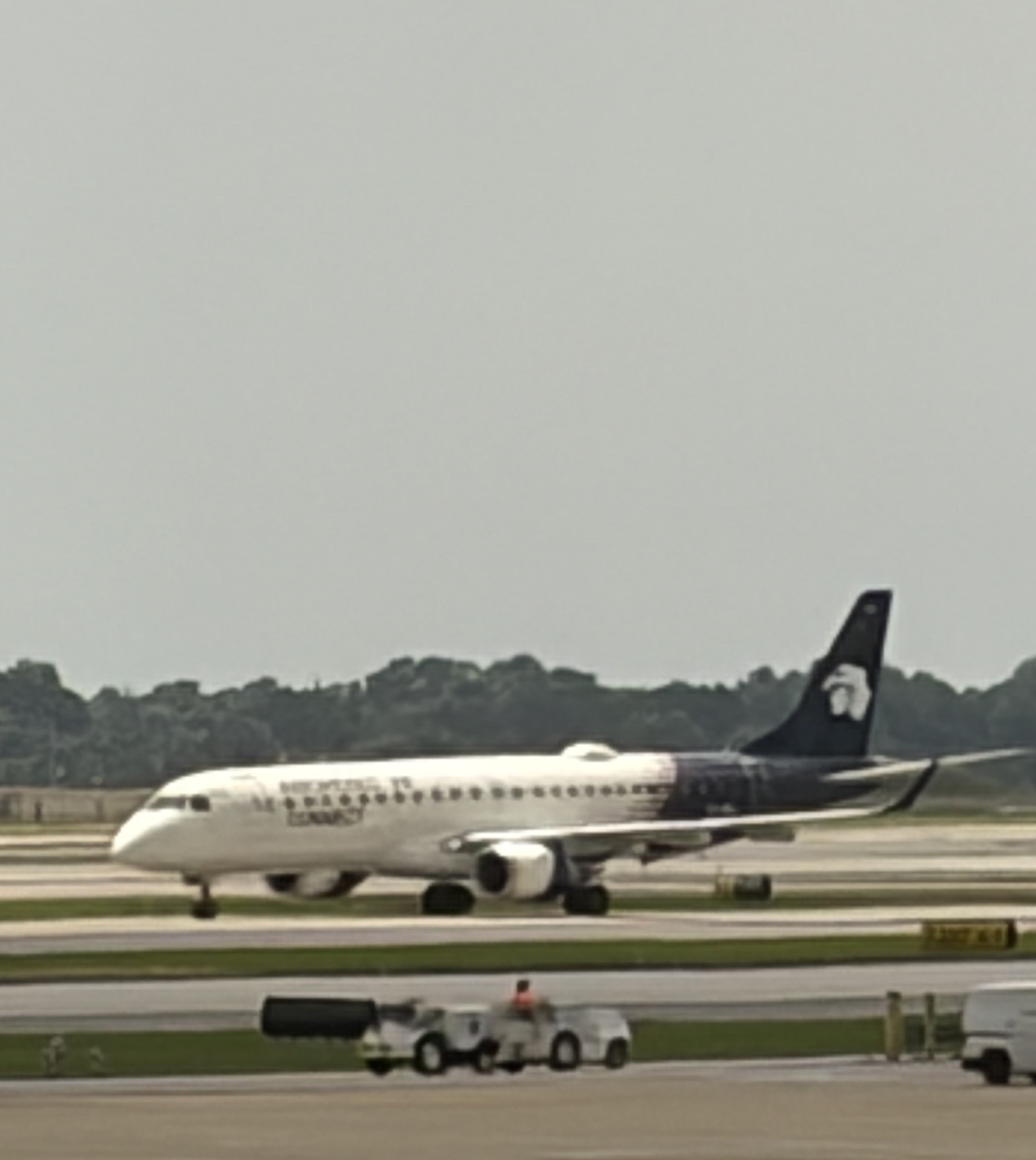 Spotting