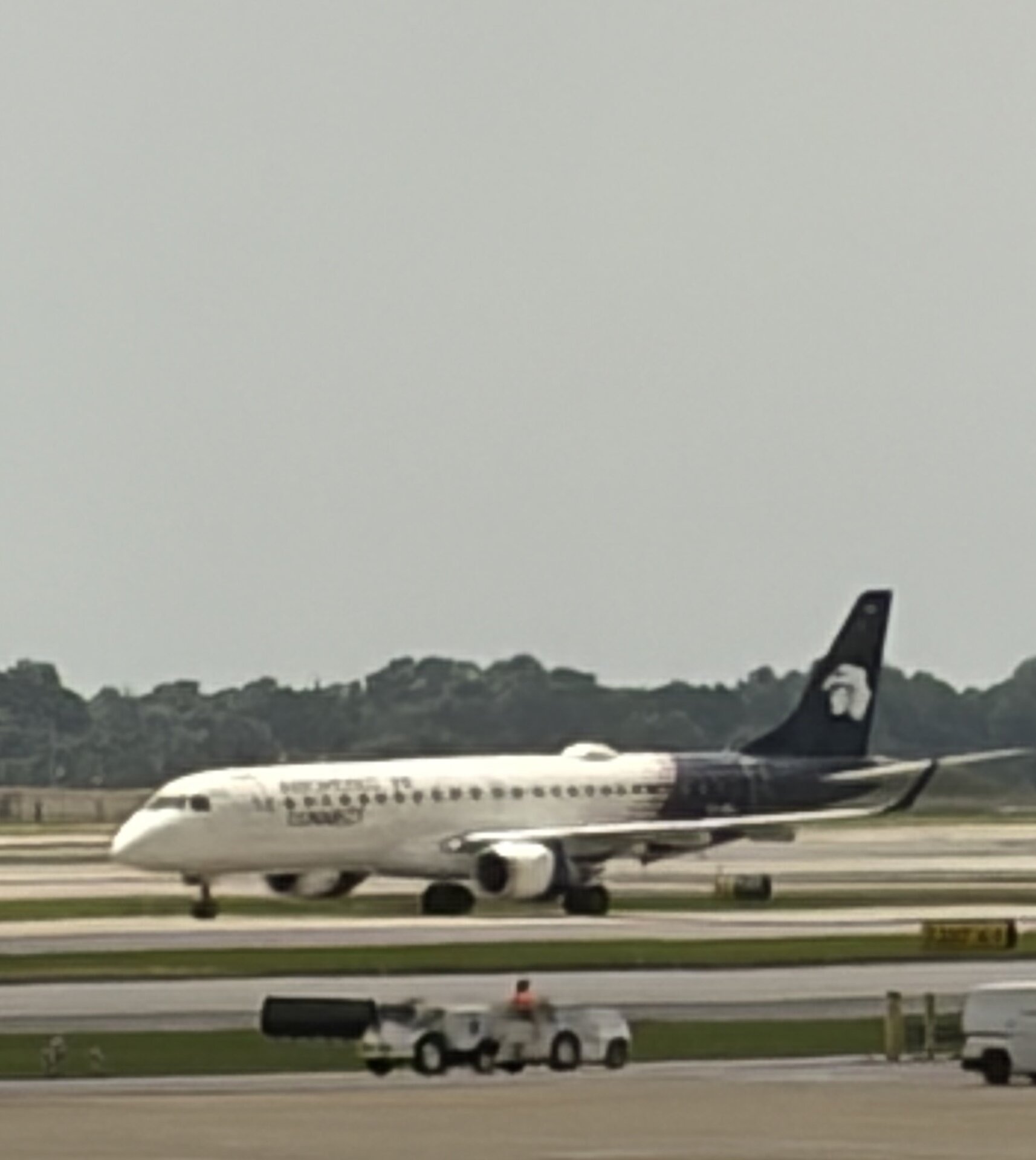 Spotting