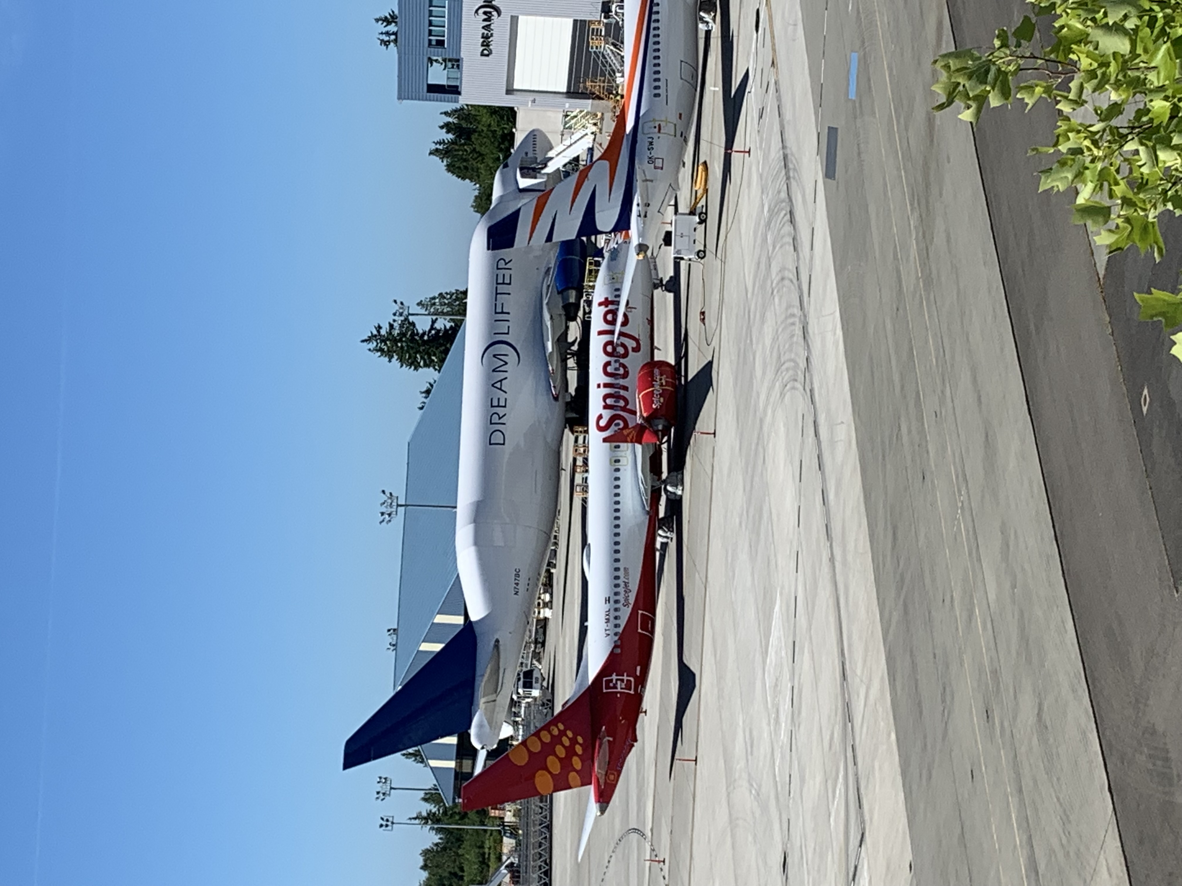 Spotting