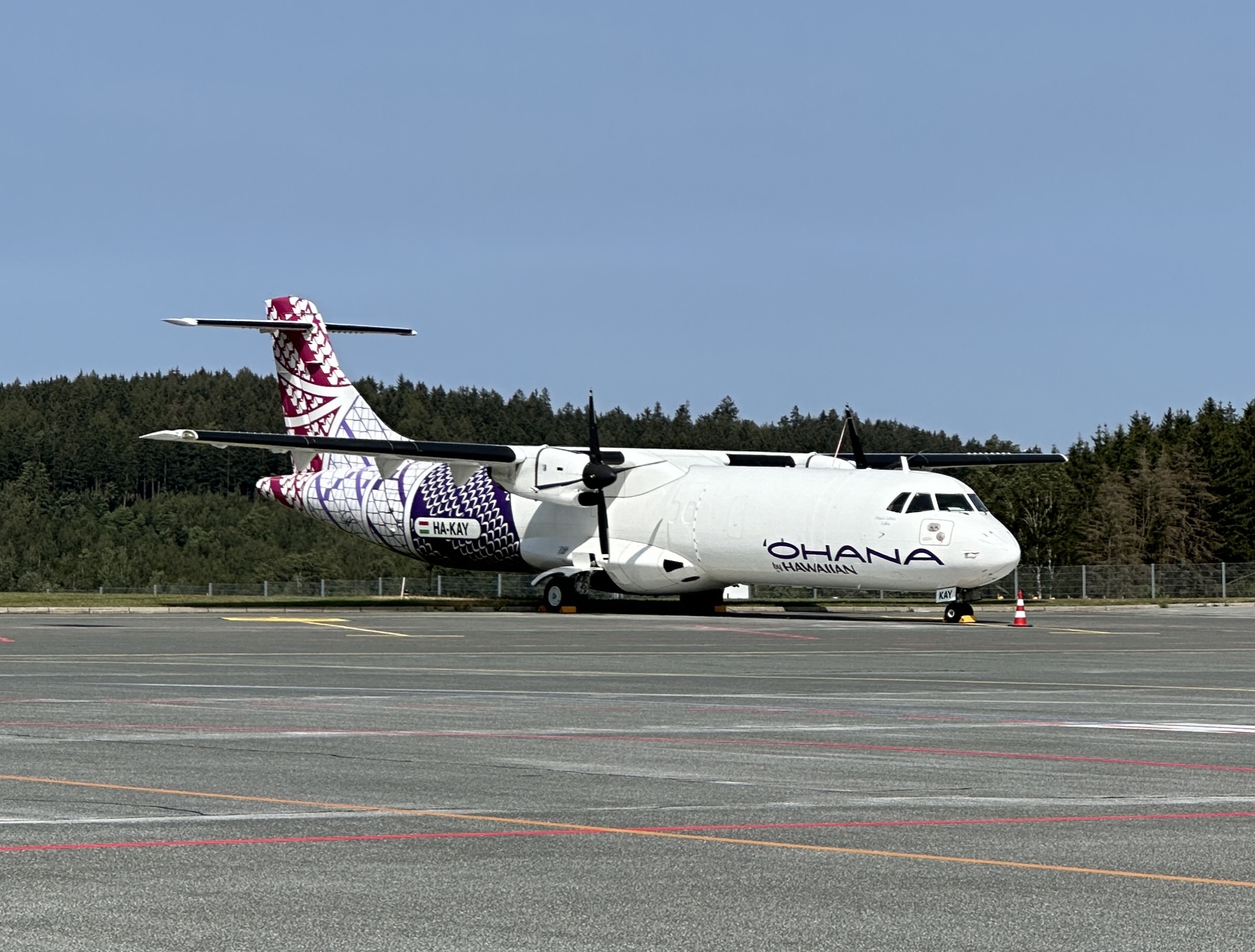 Spotting