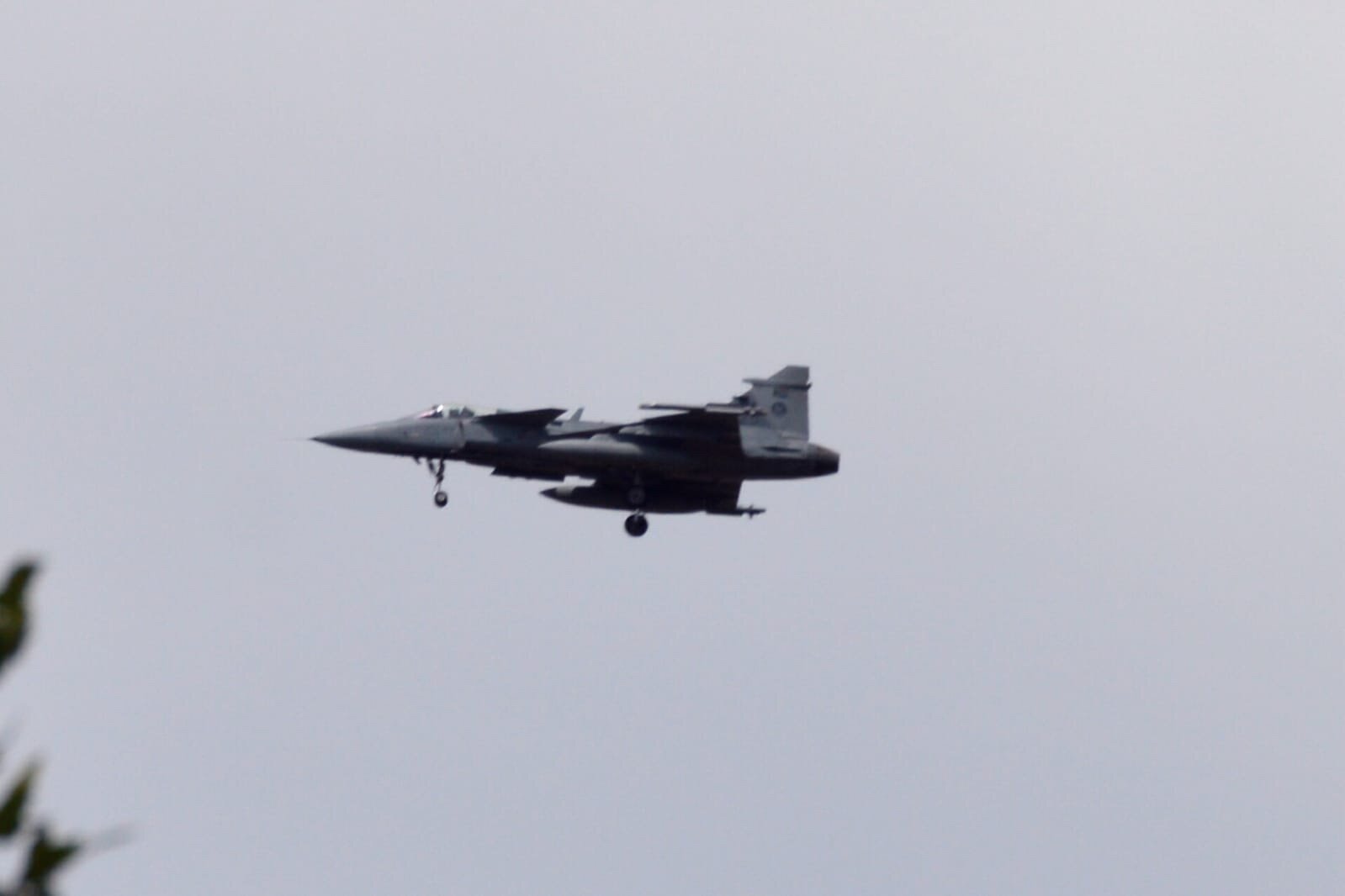 Spotting