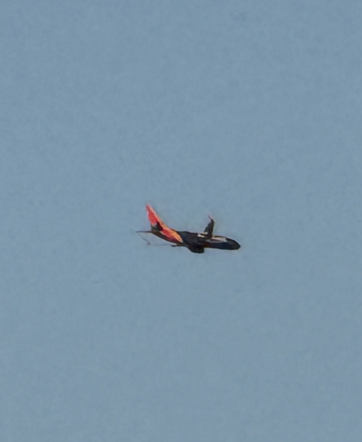 Spotting
