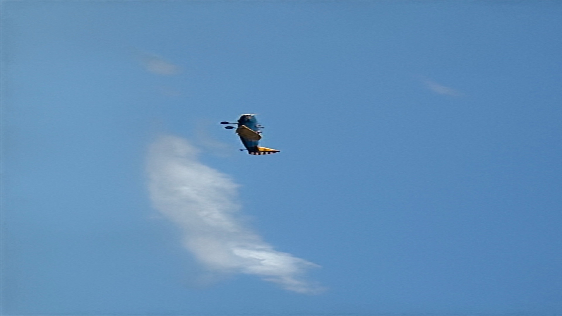 Spotting