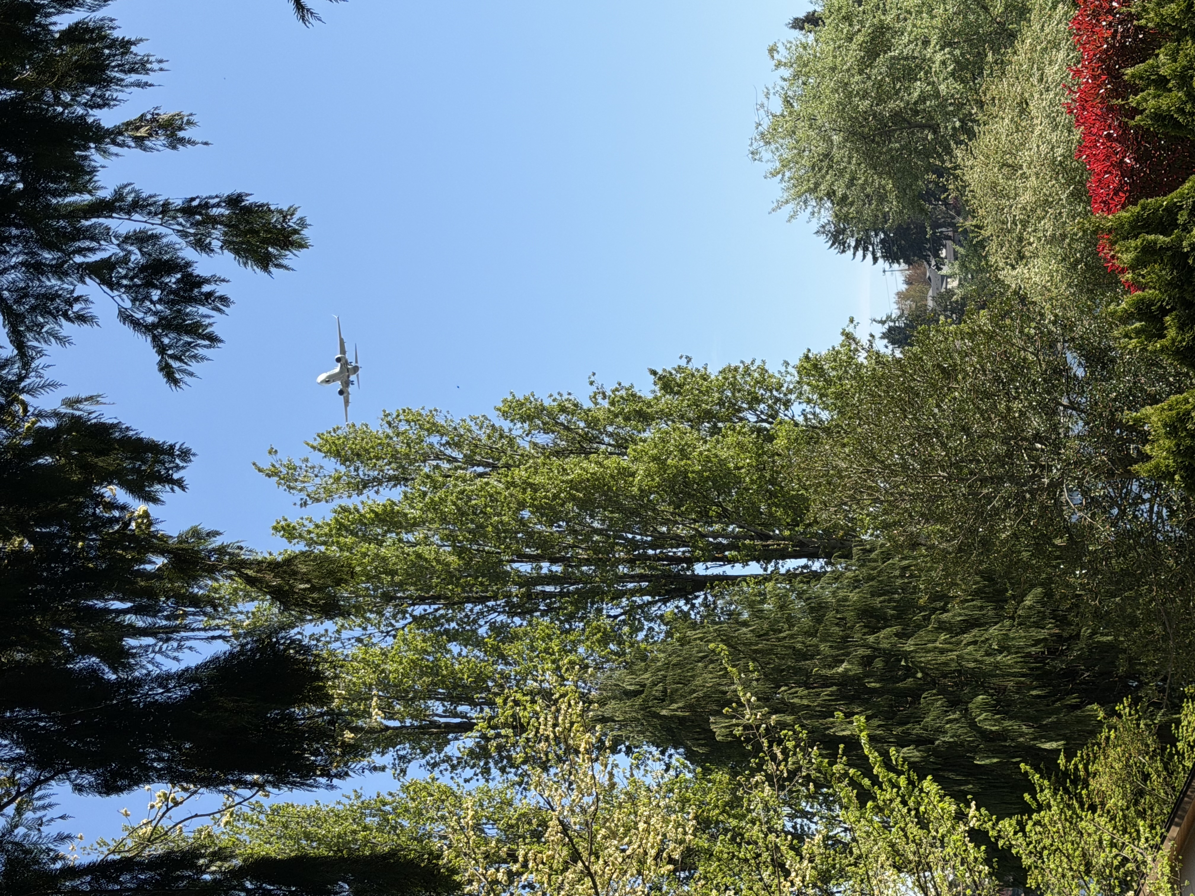 Aircraft