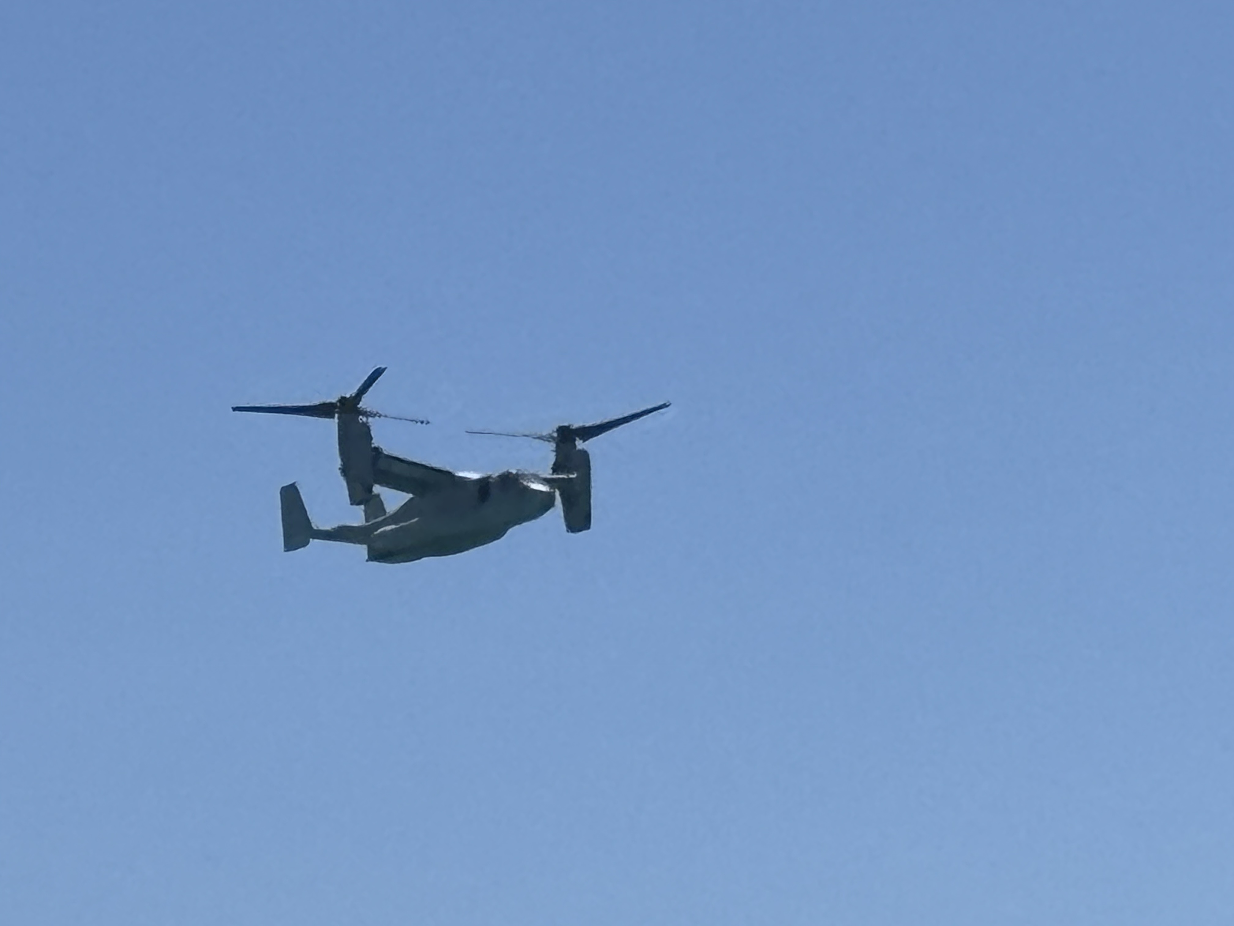 Spotting