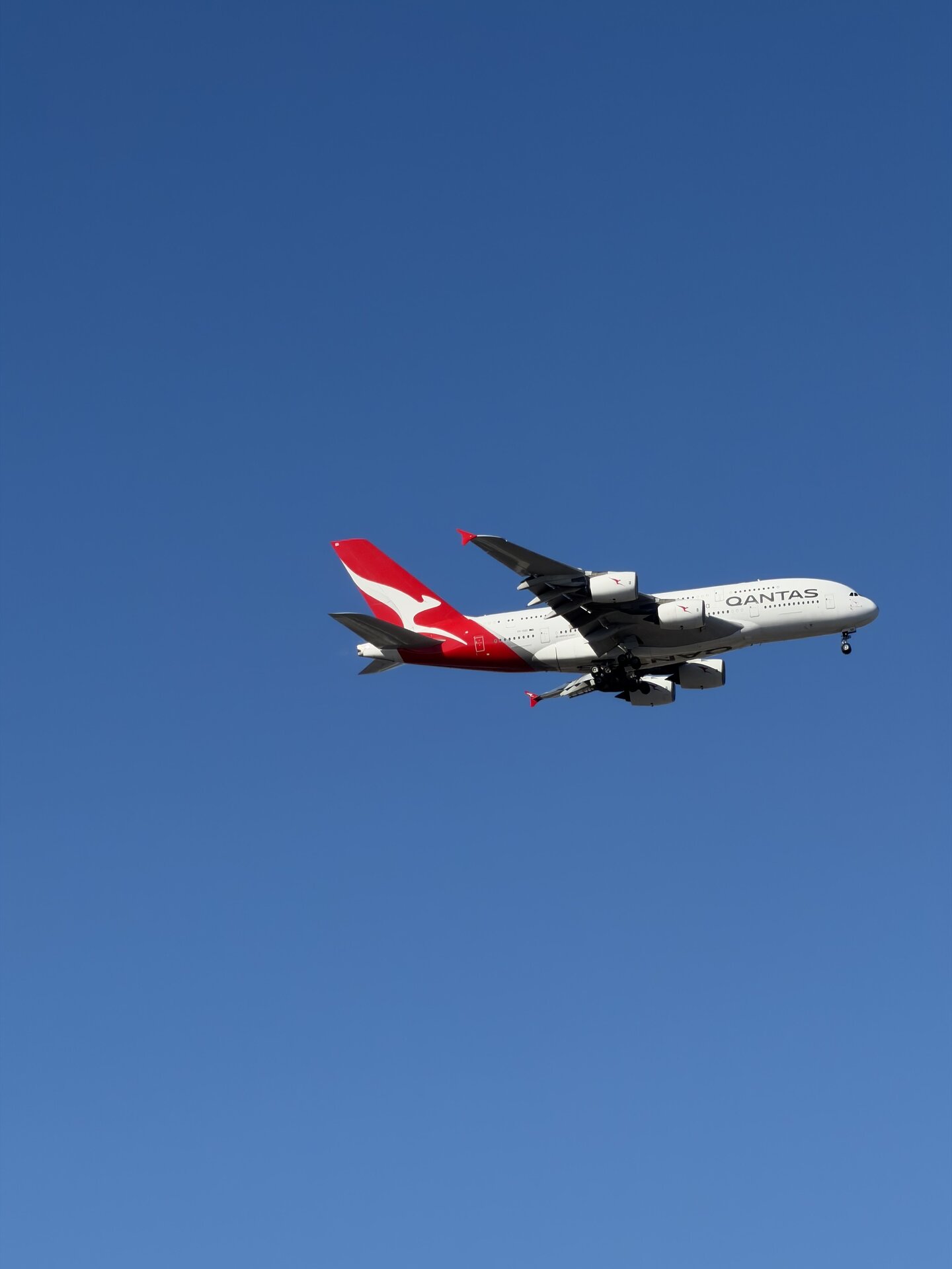 Spotting