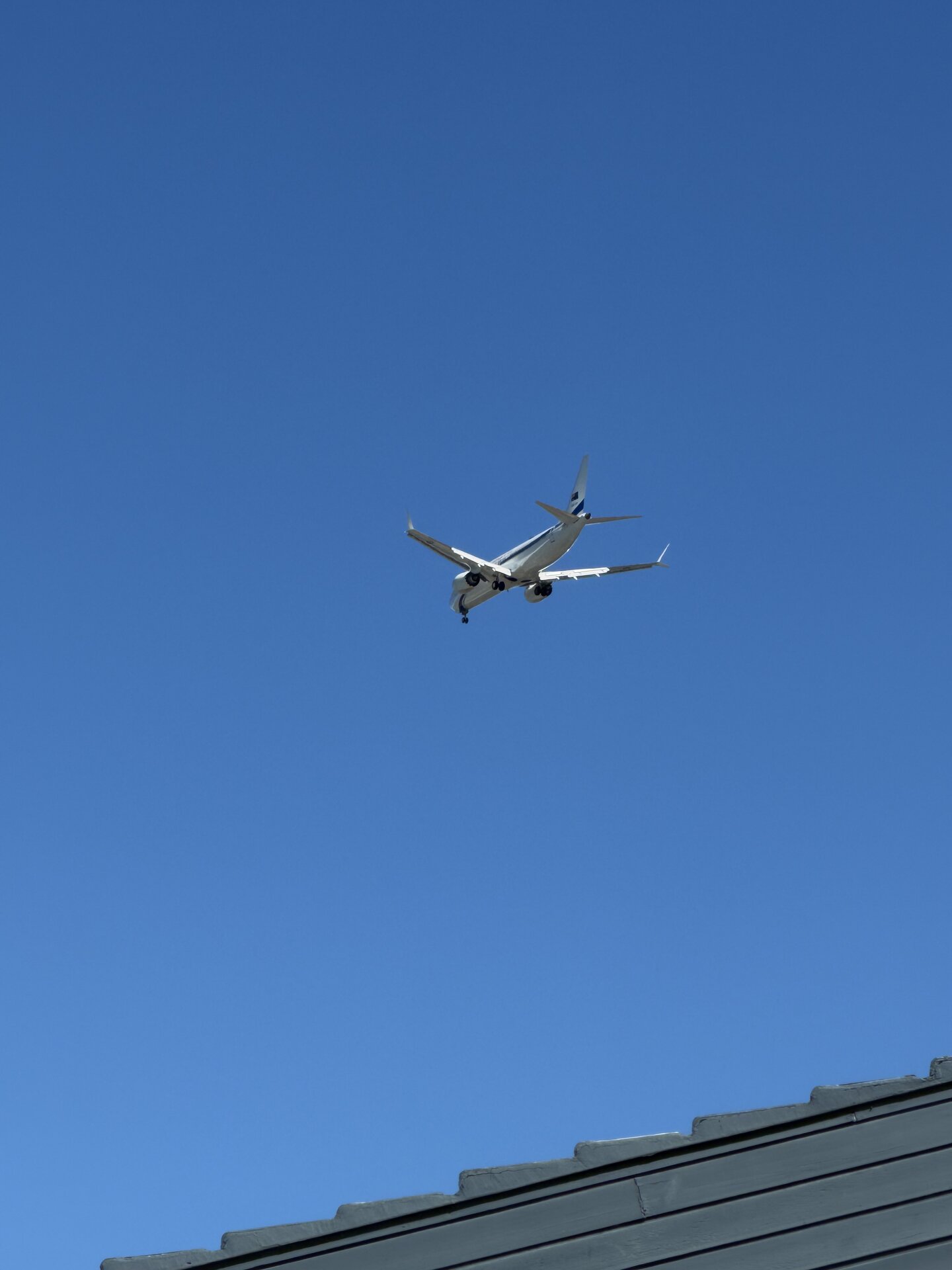 Spotting