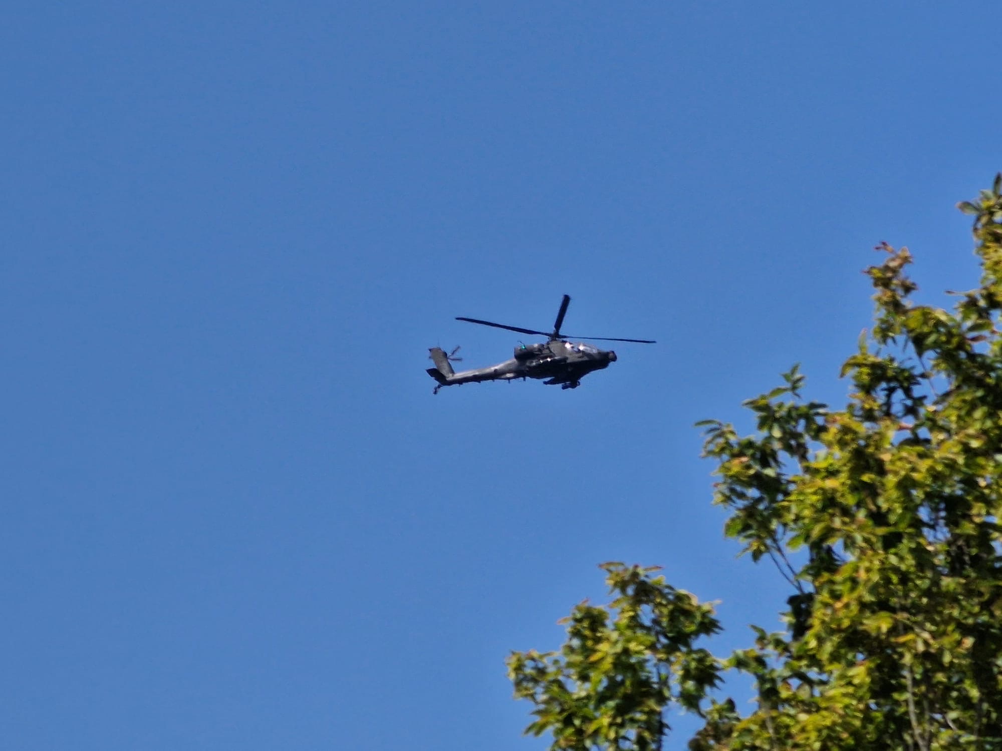 Spotting