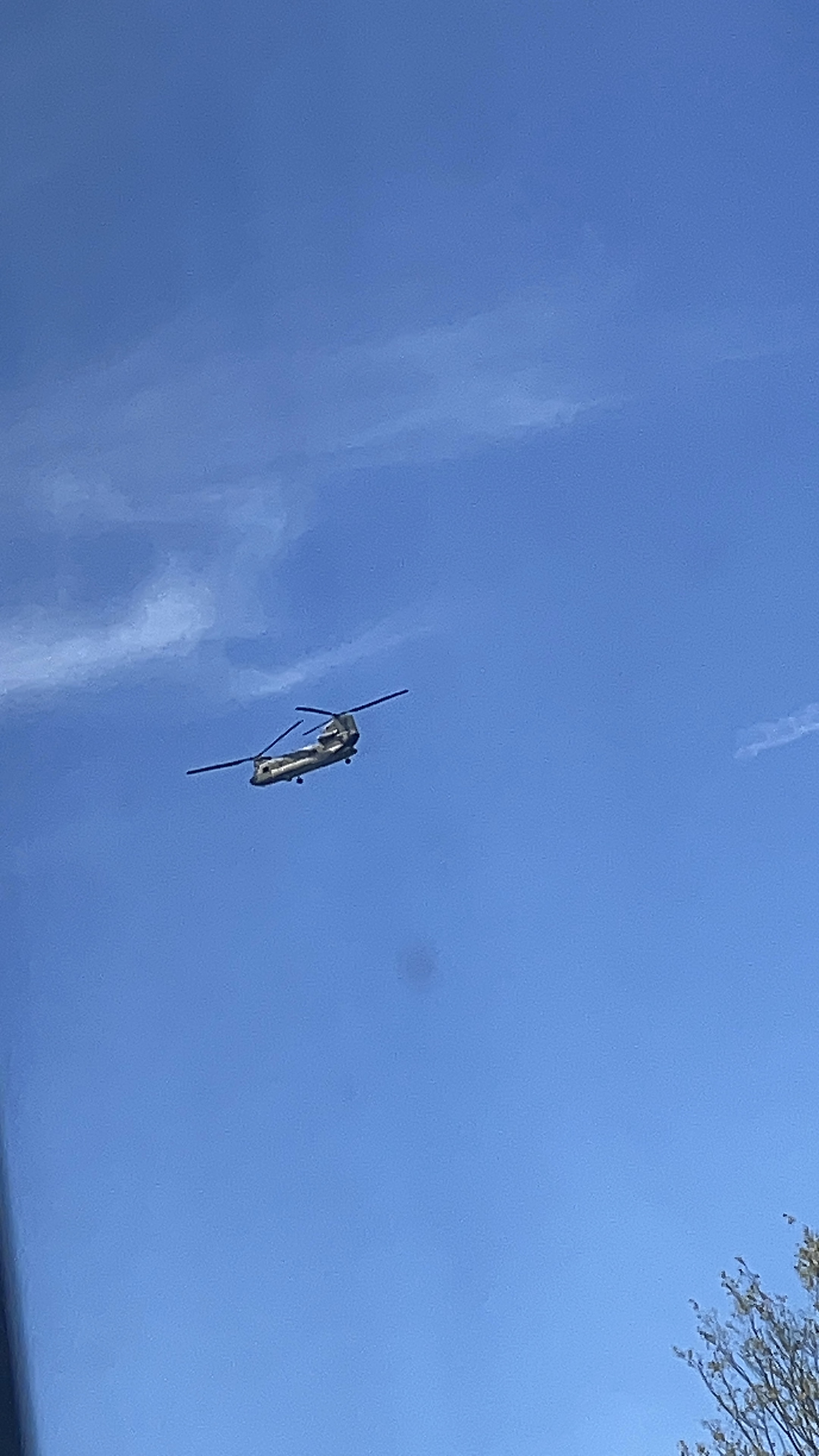 Spotting