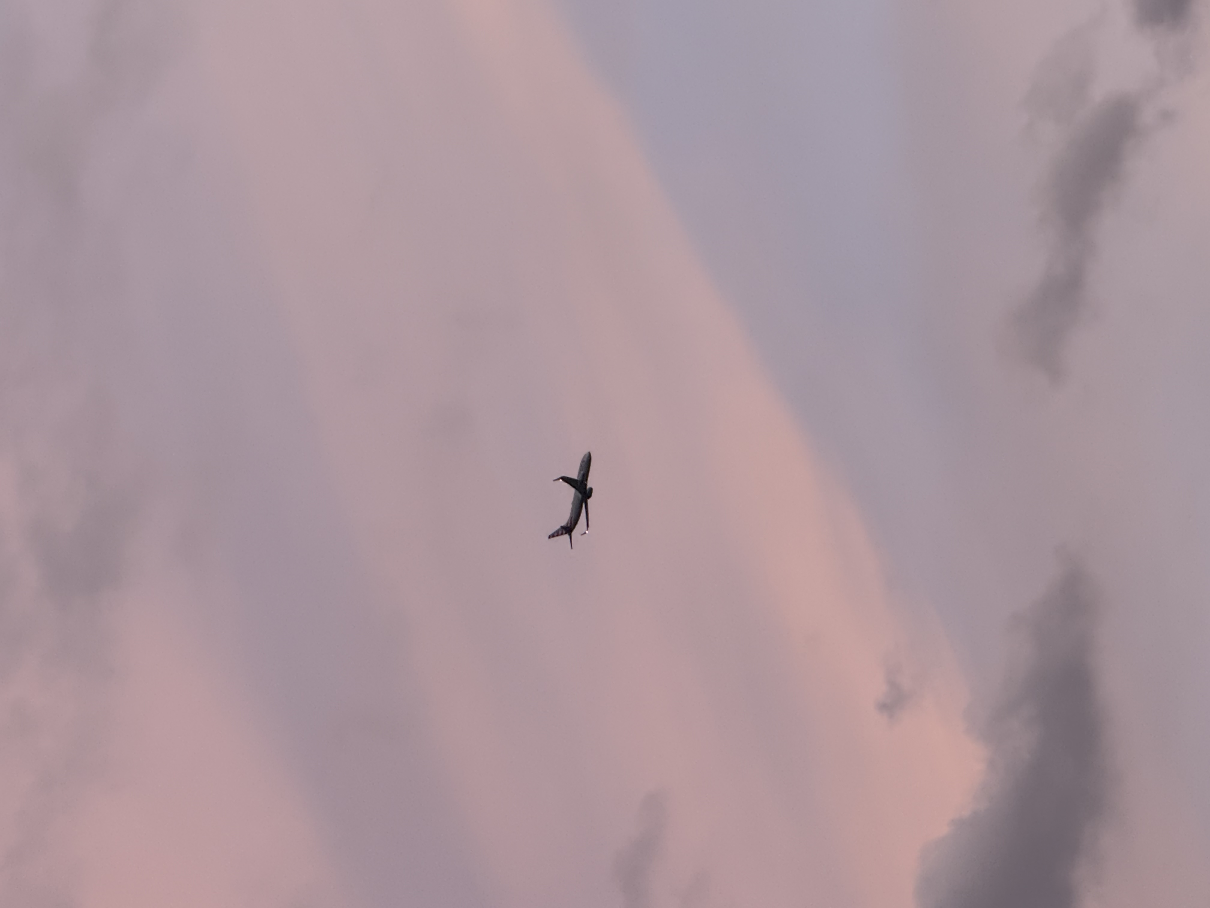 Spotting