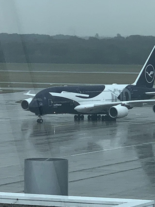 Spotting