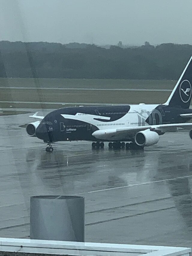 Airbus A380-800