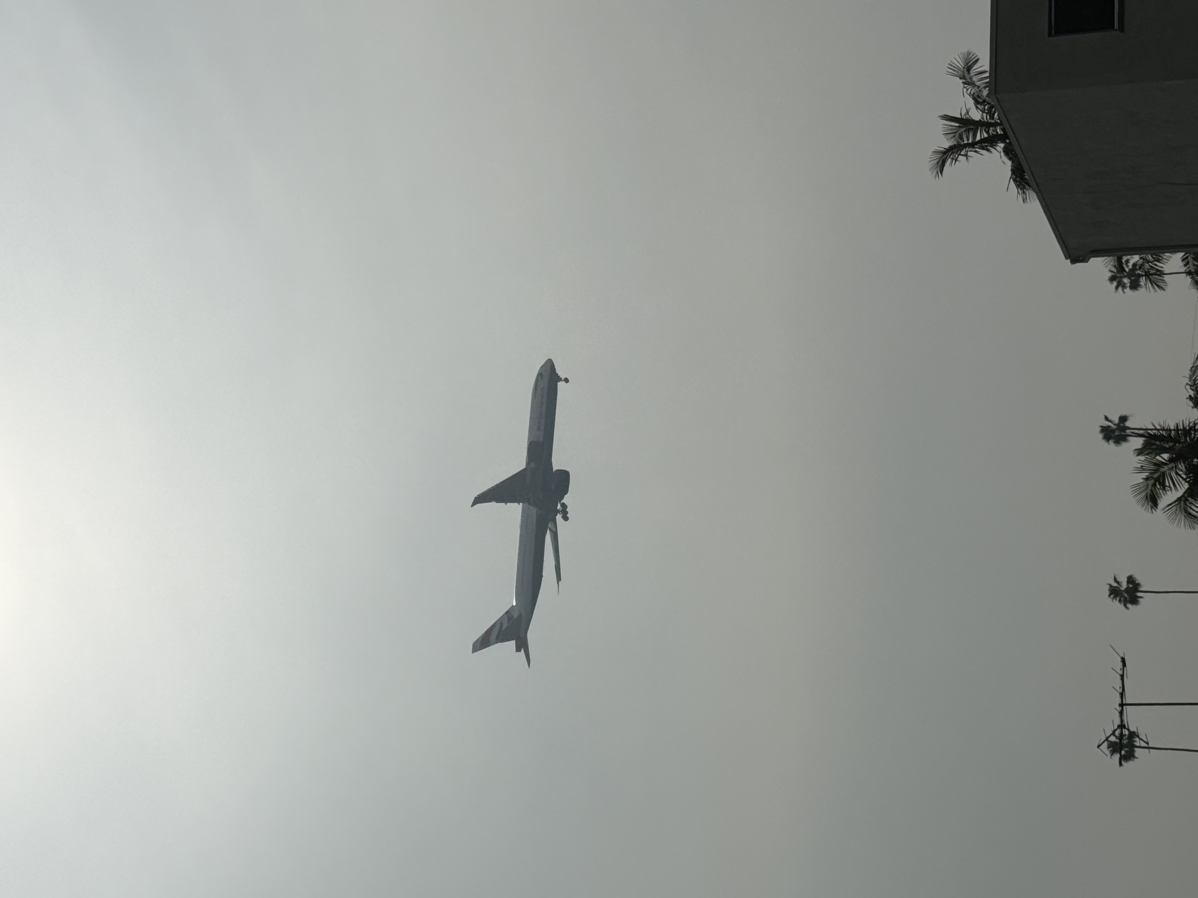 Spotting
