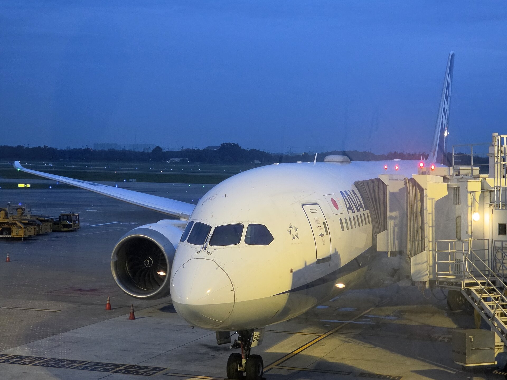 Boeing 787-8 Dreamliner