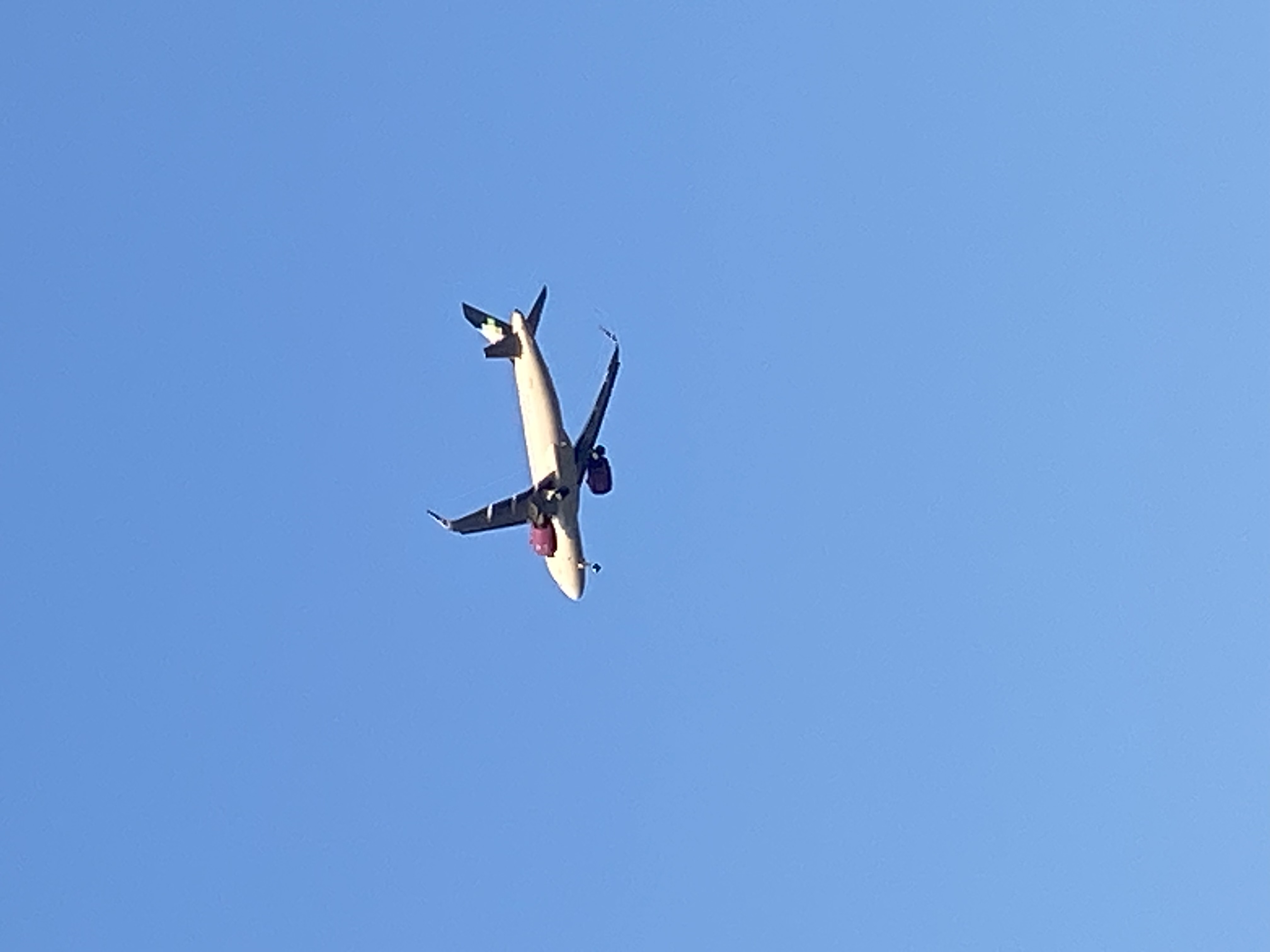 Spotting