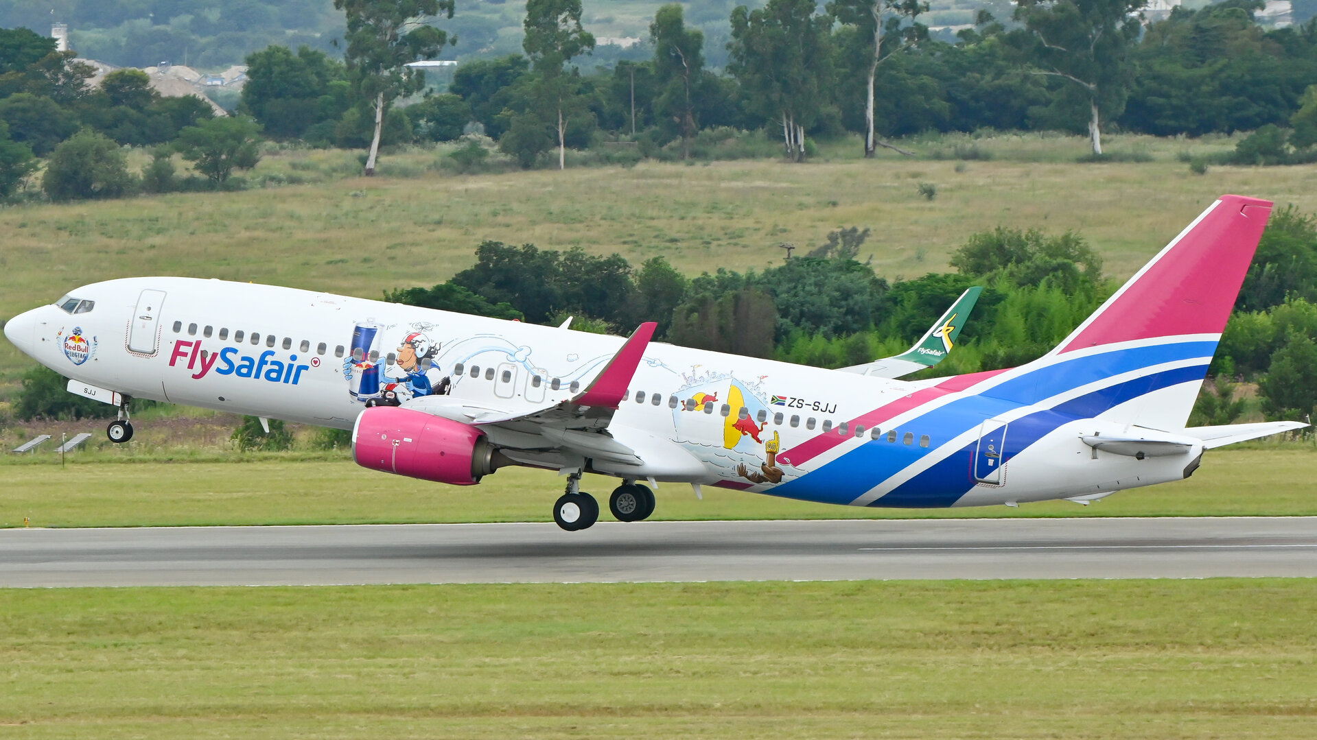Boeing 737-800