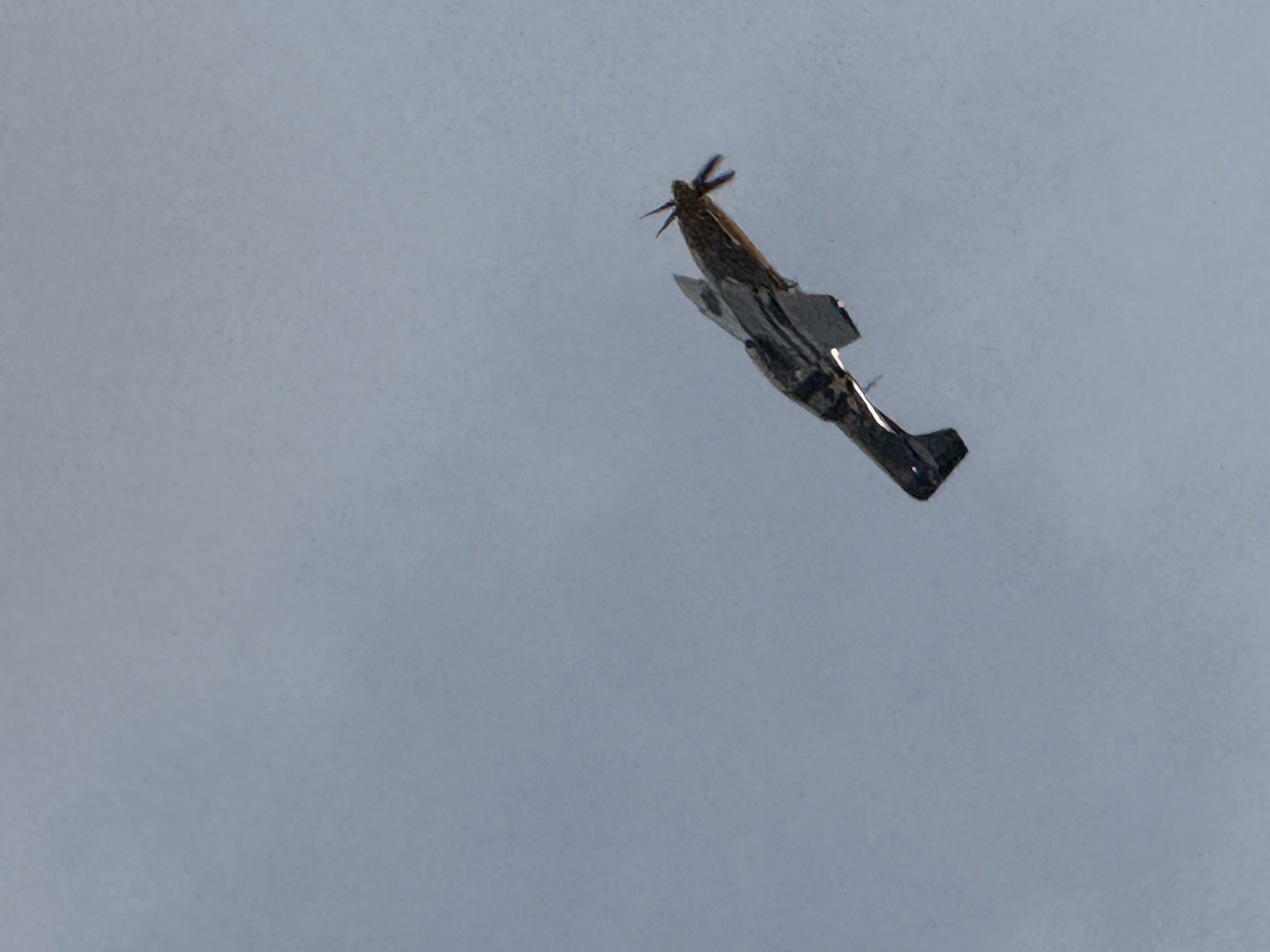 Aircraft