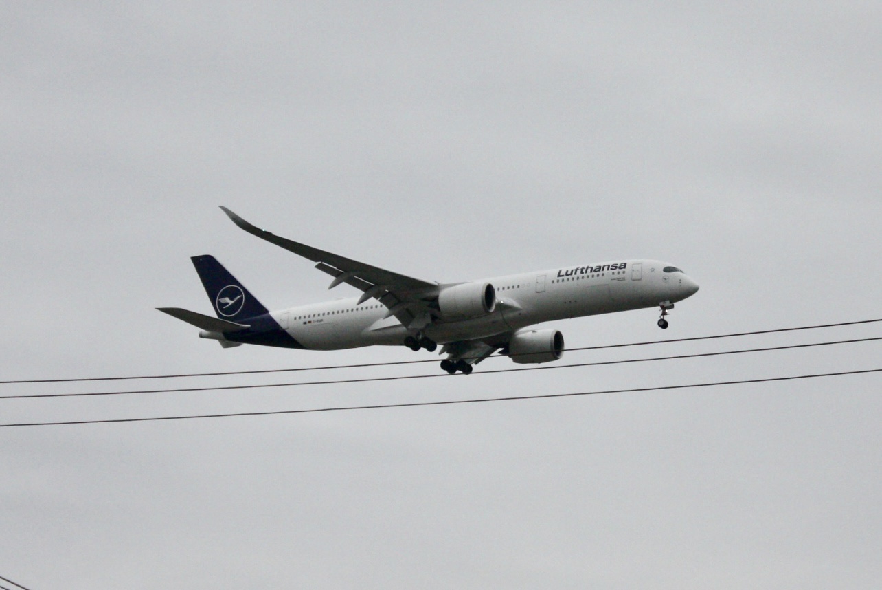 Spotting