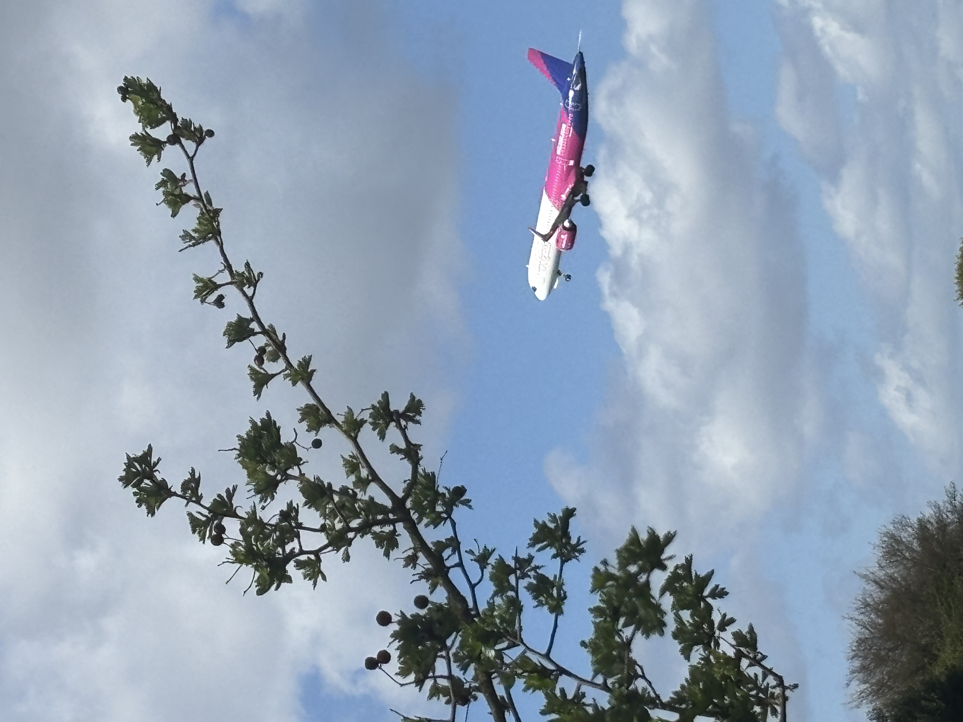Aircraft