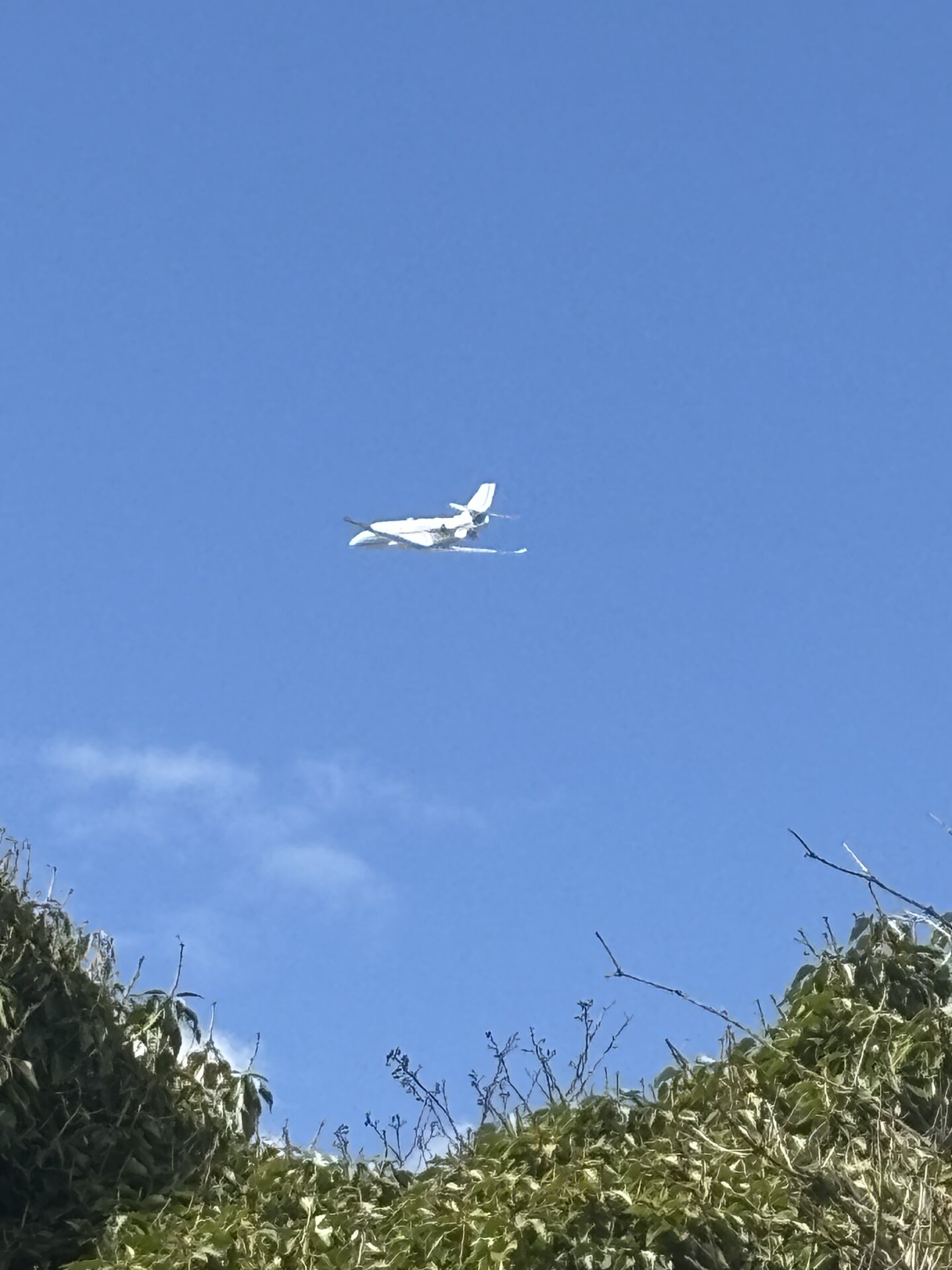 Spotting