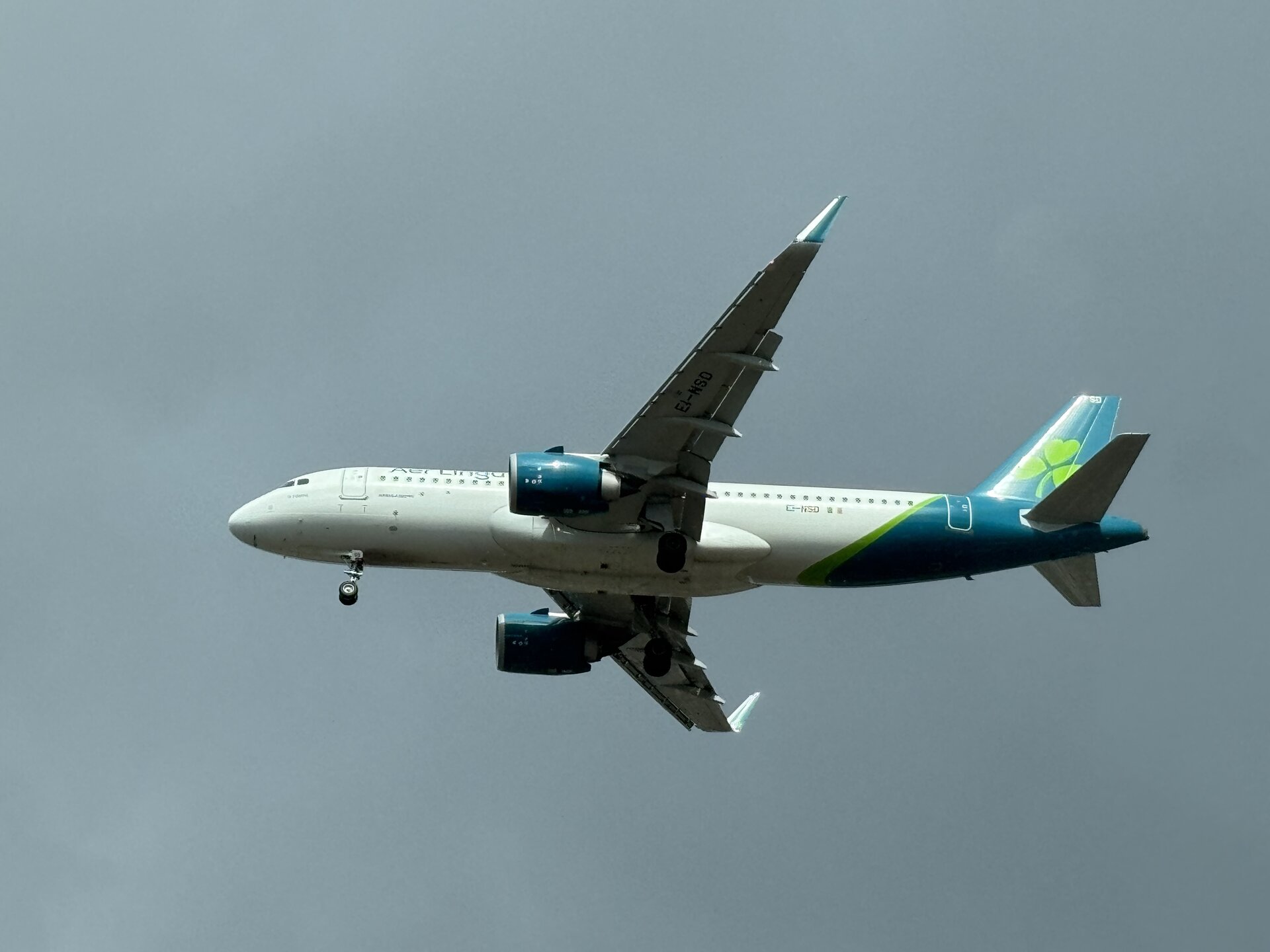 Spotting