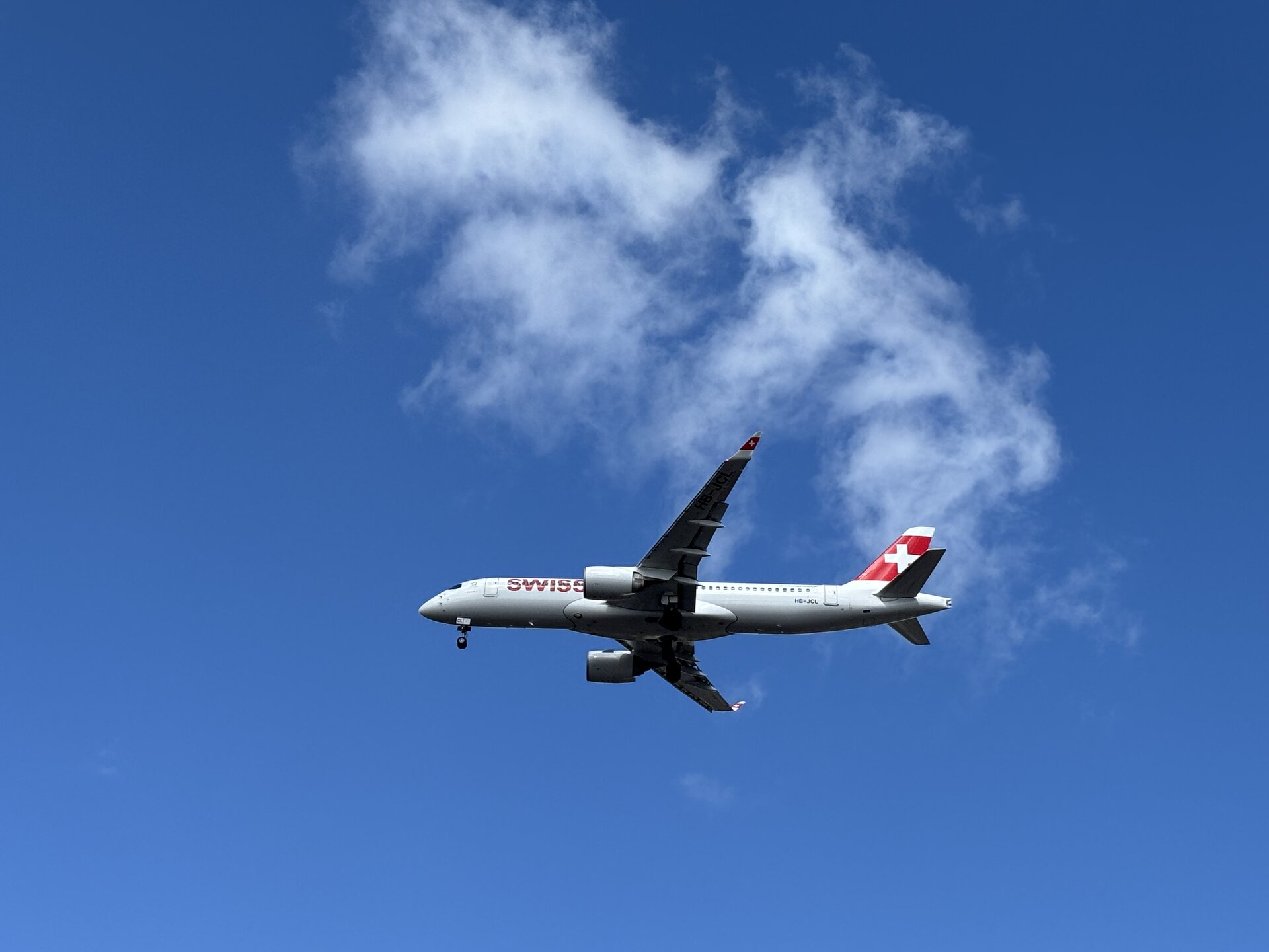 Spotting