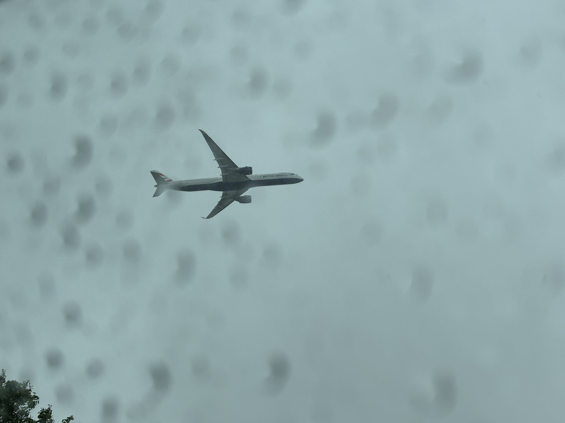 Spotting