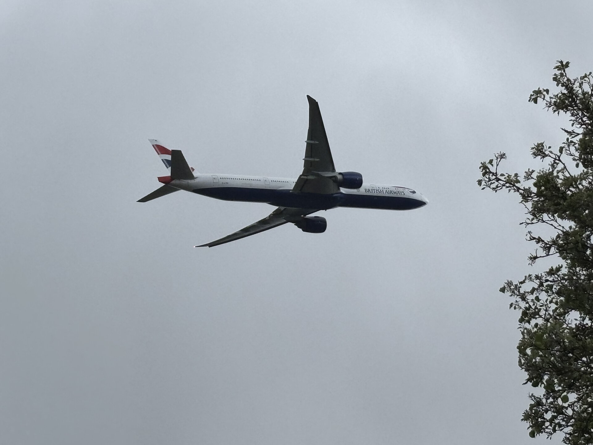 Spotting