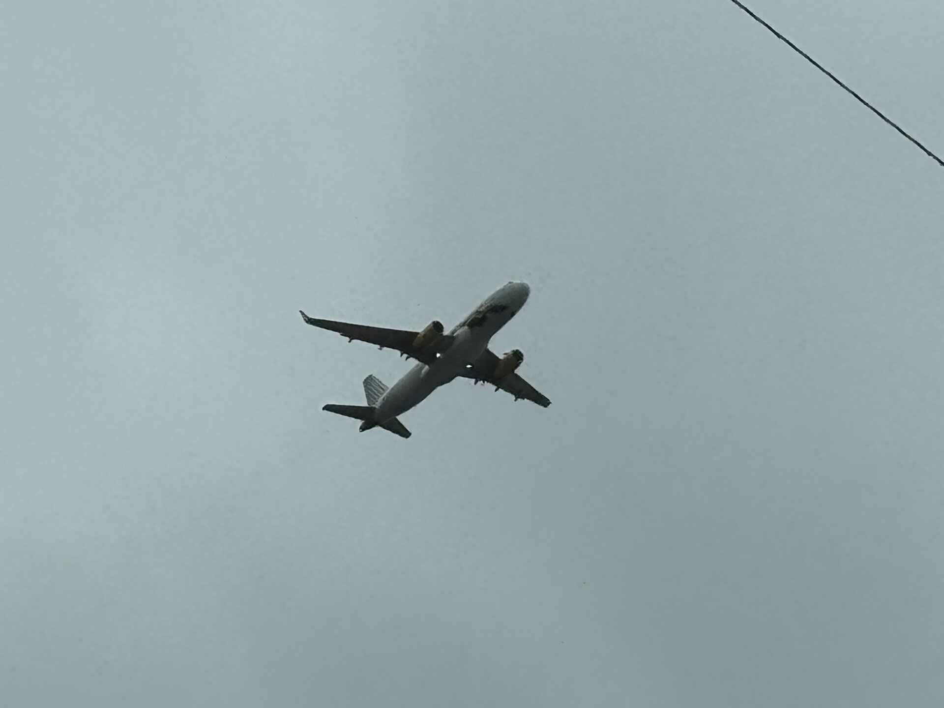 Spotting
